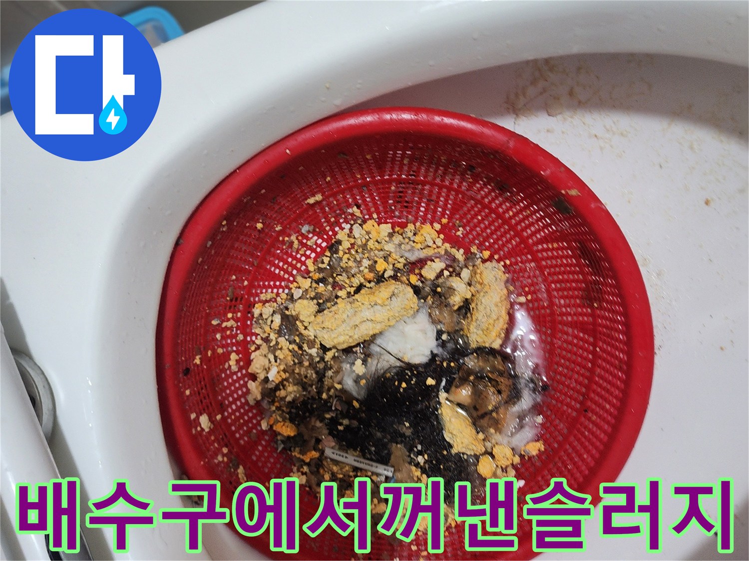 빨간색-채반에-모여있는-머리카락과-오물-덩어리