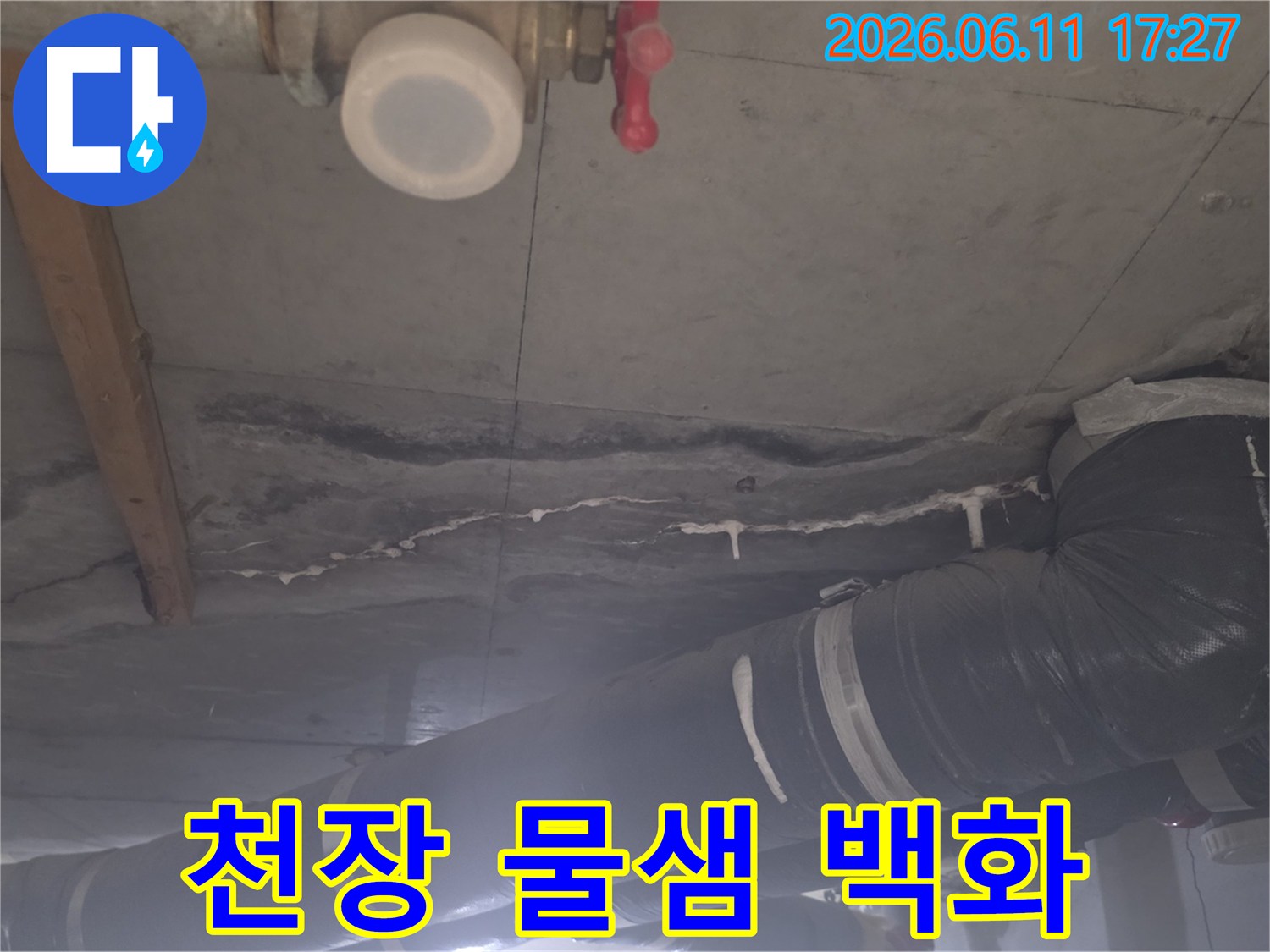 천장 콘크리트에서 물이 새어 나와 형성된 백화 현상과 그 아래 배관의 모습을 보여주는 사진입니다