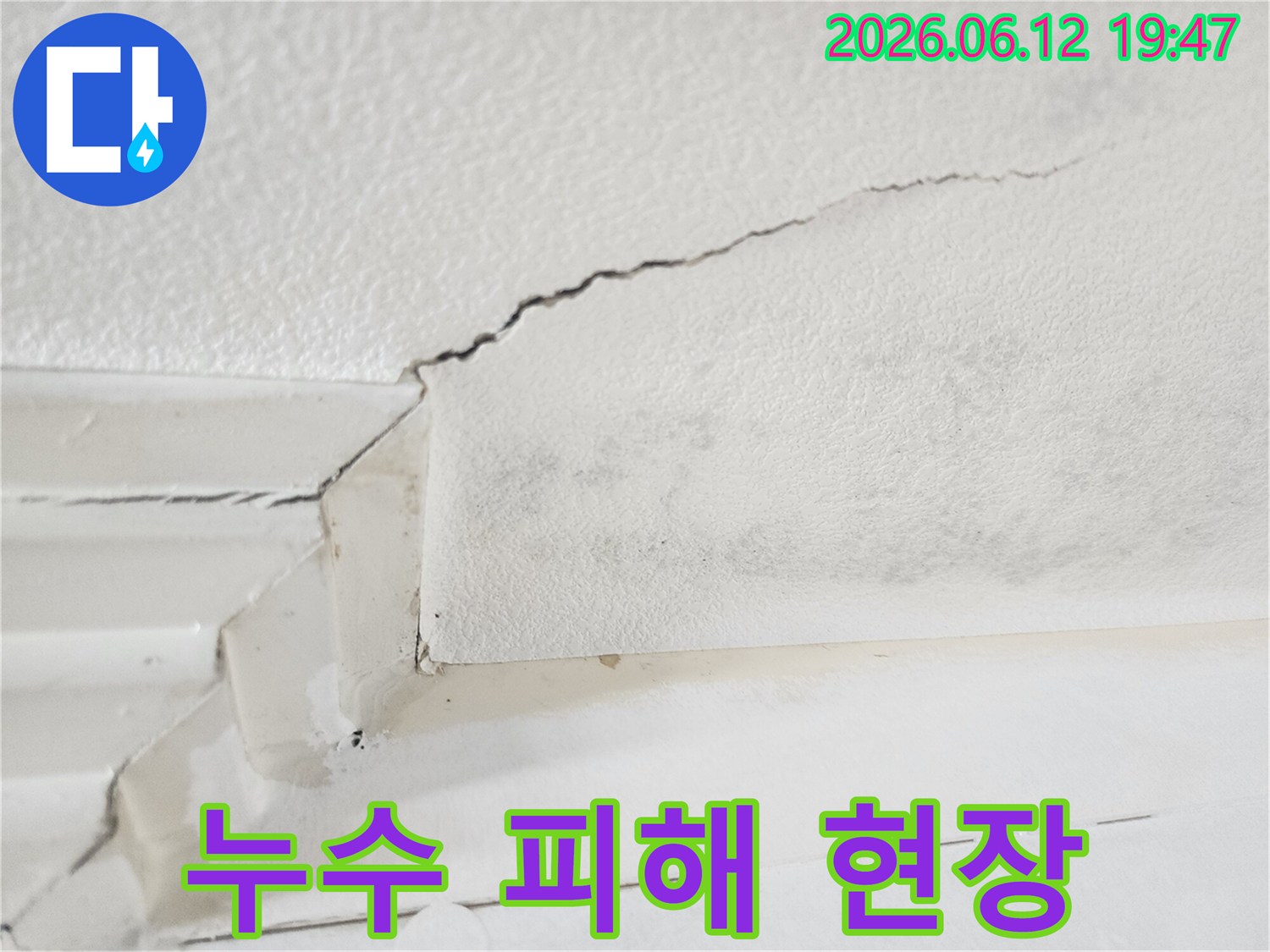 물방울이 맺히고-곰팡이가 번식한-아파트 천장 누수 현장의-클로즈업 이미지입니다