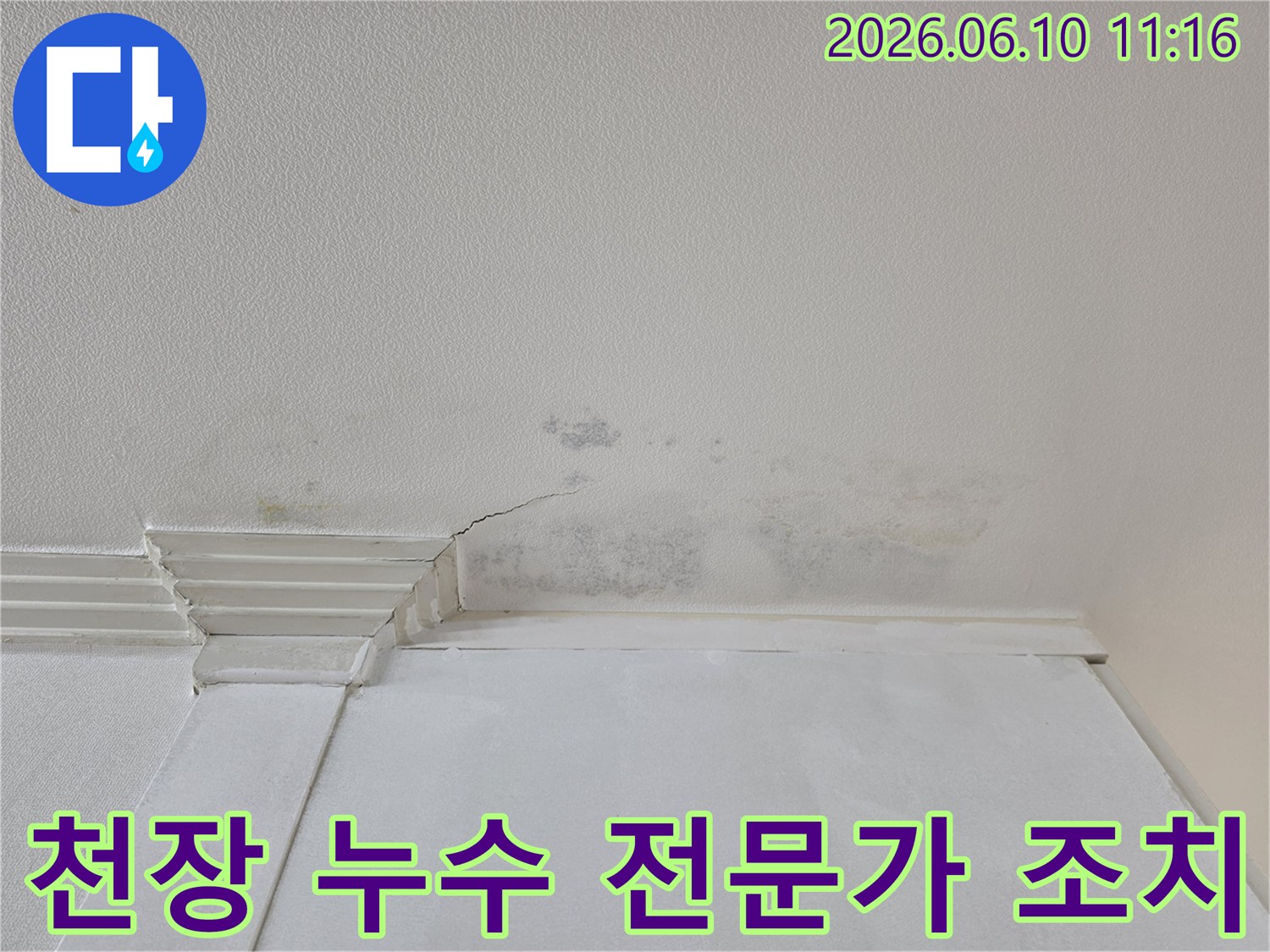 천장 벽지에-누수로-인한-검은-곰팡이와-물얼룩-그리고-균열이-확인되어-전문가의-신속한-조치가-필요합니다