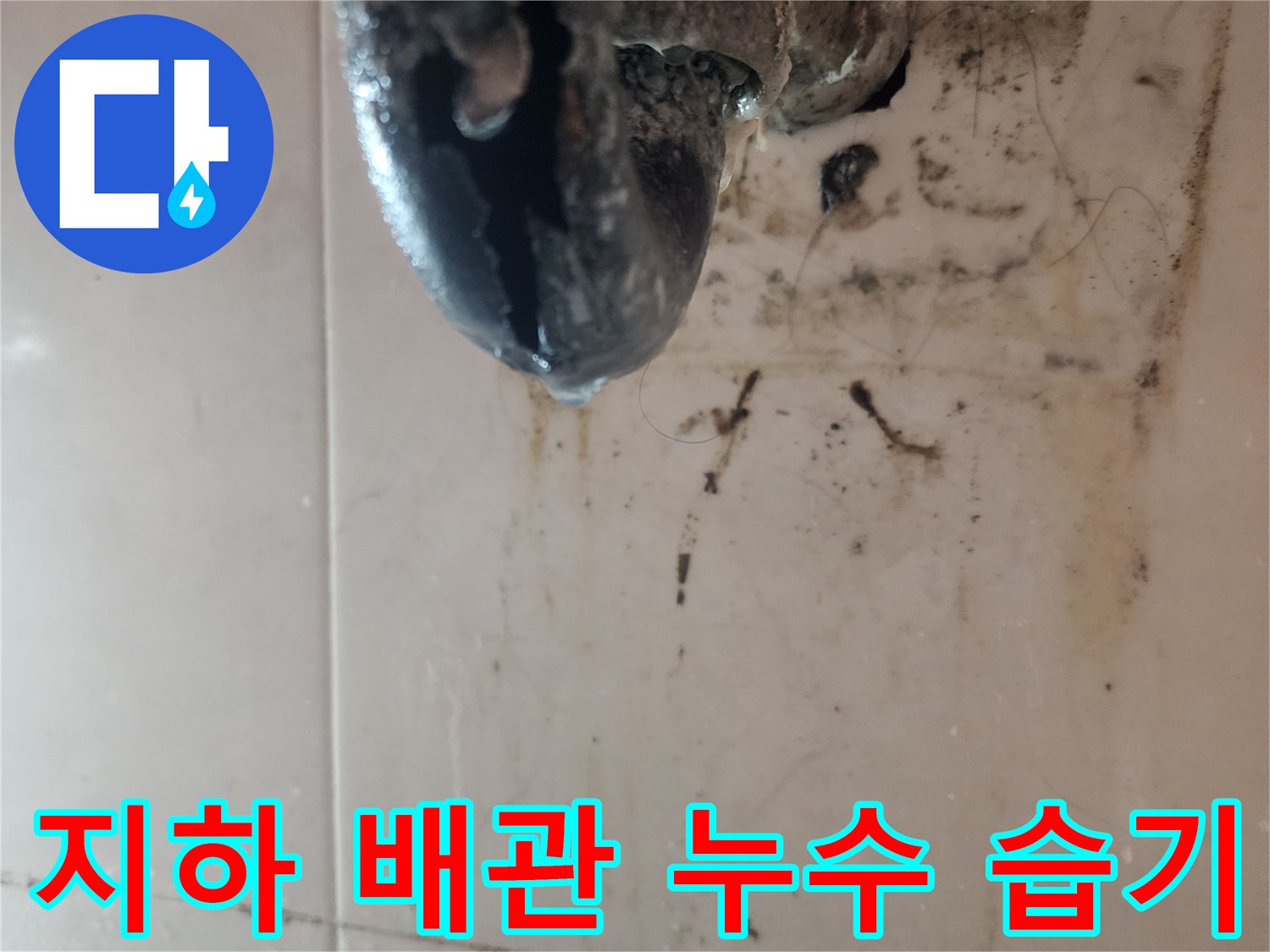 지하-배관에서-발생한-누수로-인해-심한-습기와-곰팡이가-생긴-현장을-보여주는-사진입니다