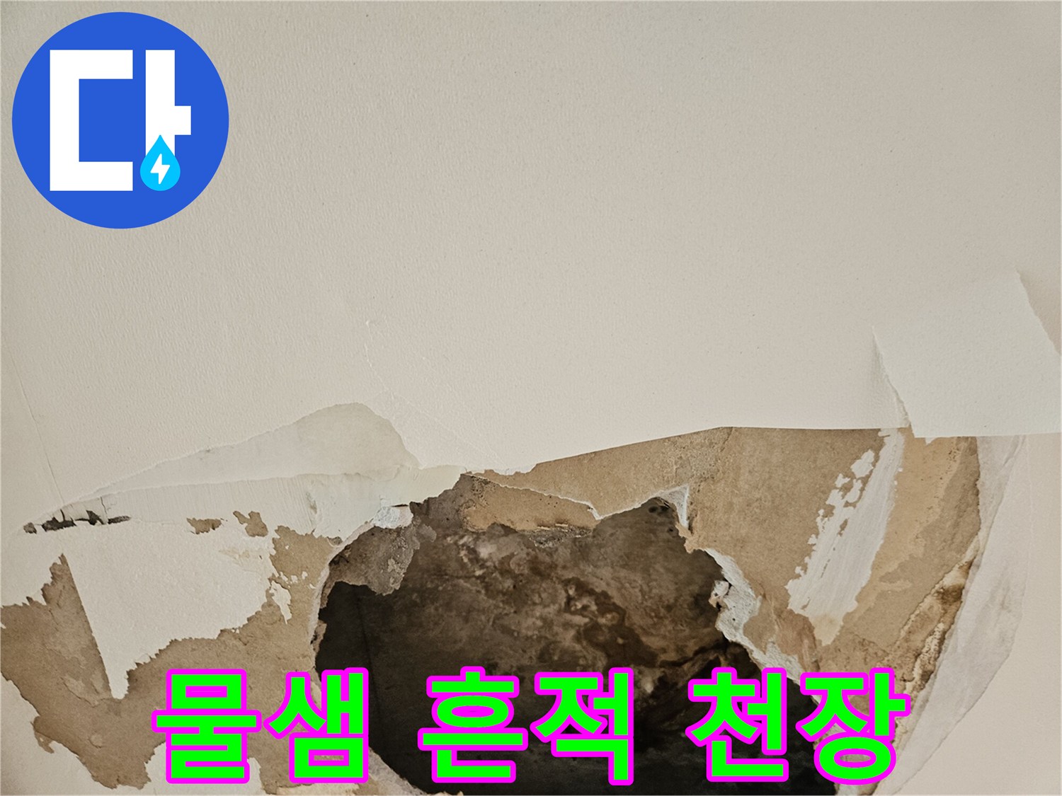 사당동 누수 현장-천장 마감재 훼손 및 내부 오염 상태