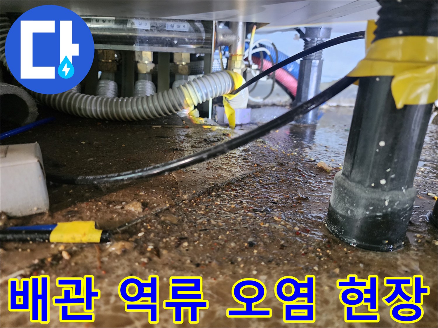 싱크대 하부 배관 주변에 고인 오수와 슬러지