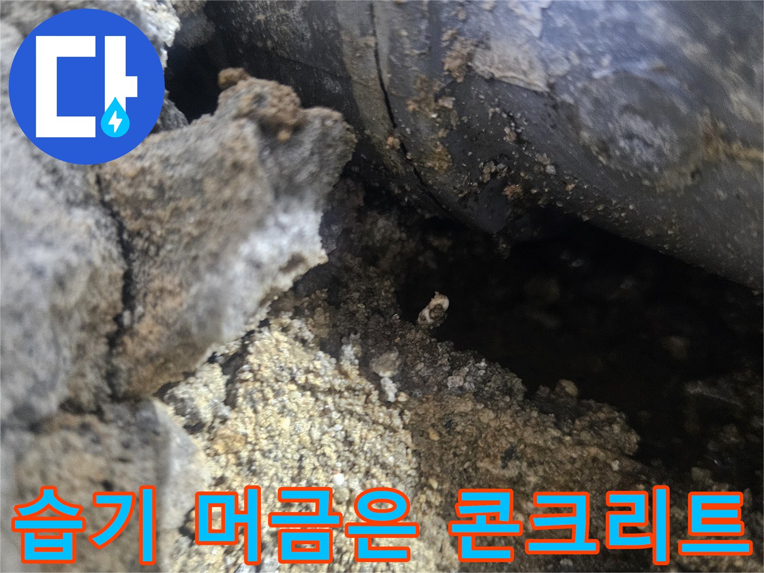 누수-발생-지점의-젖은-콘크리트와-배관