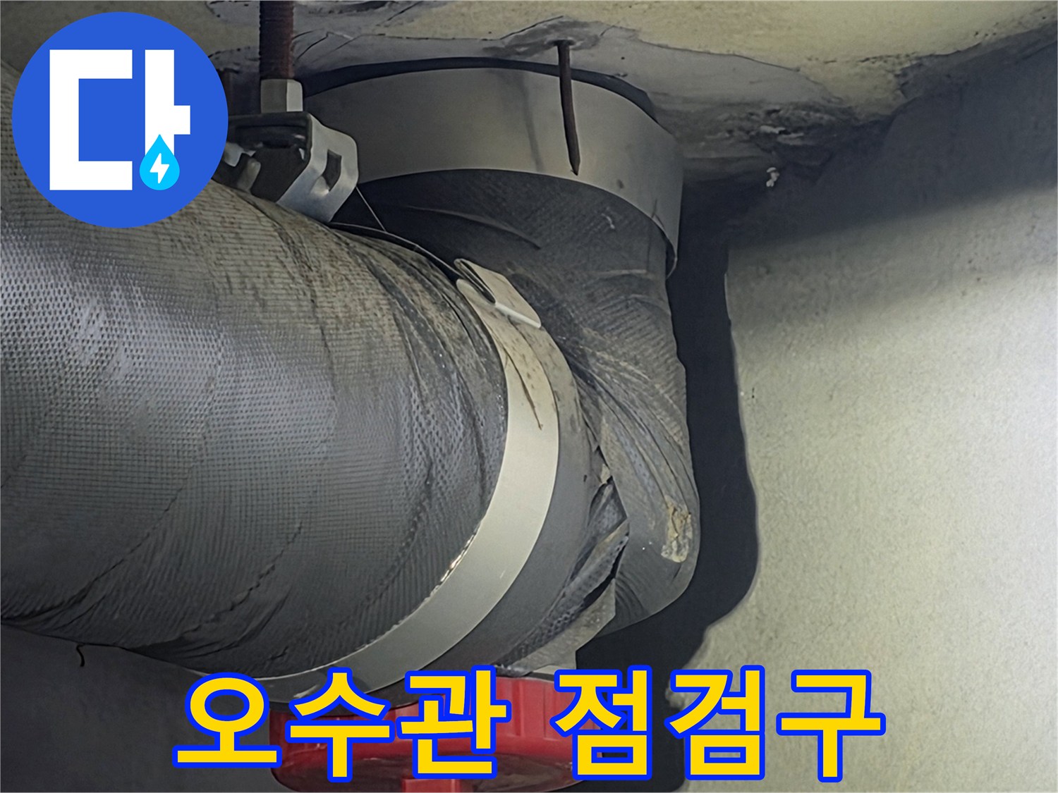 오수관의 점검구 주변에서-누수 징후가 있는지-세밀하게 확인하는-전문가의 모습입니다.