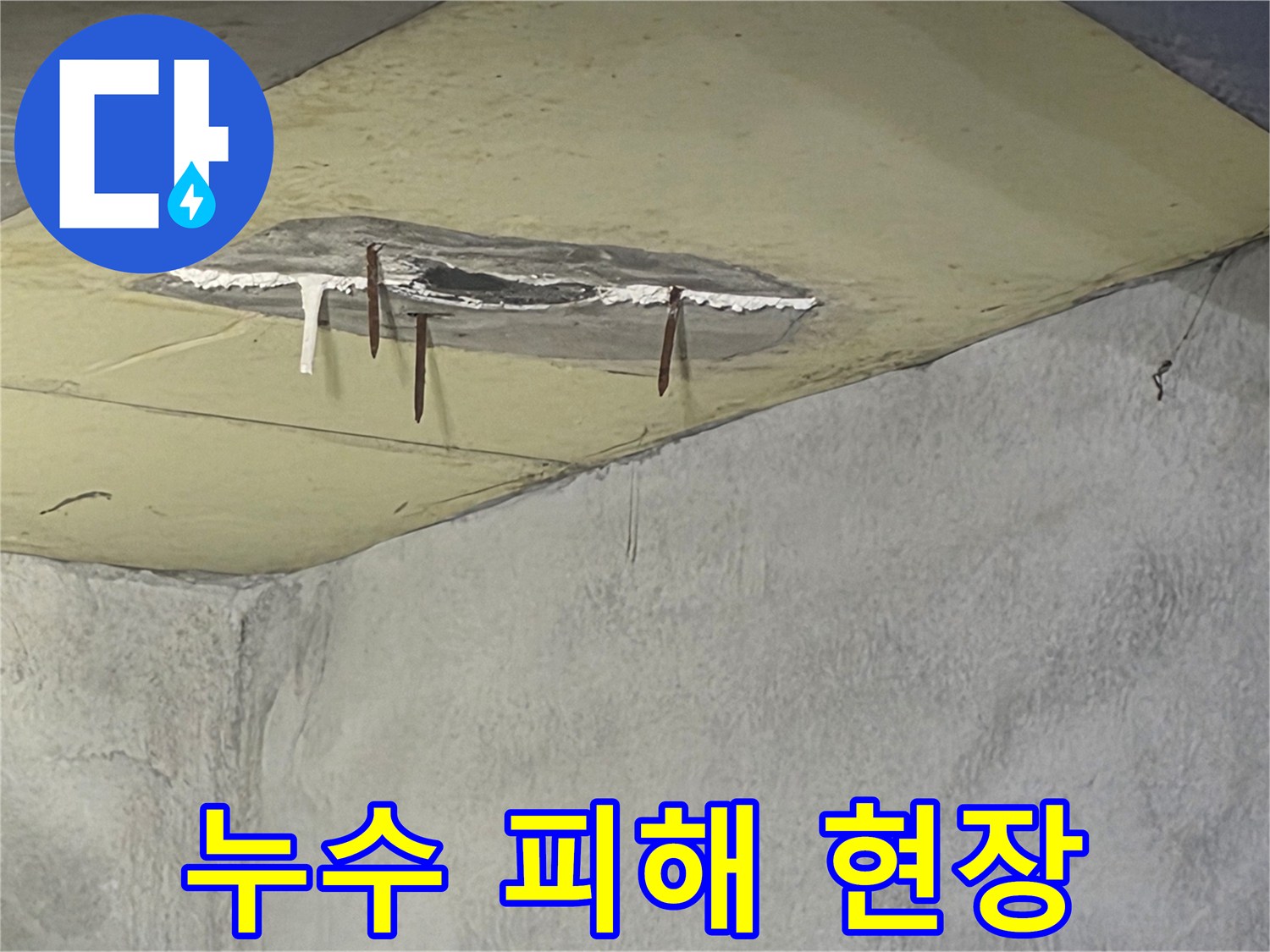 천장에서 물이 떨어지고-벽면이 젖는 현상으로-심각한 누수 피해가 확인되는-현장 사진입니다