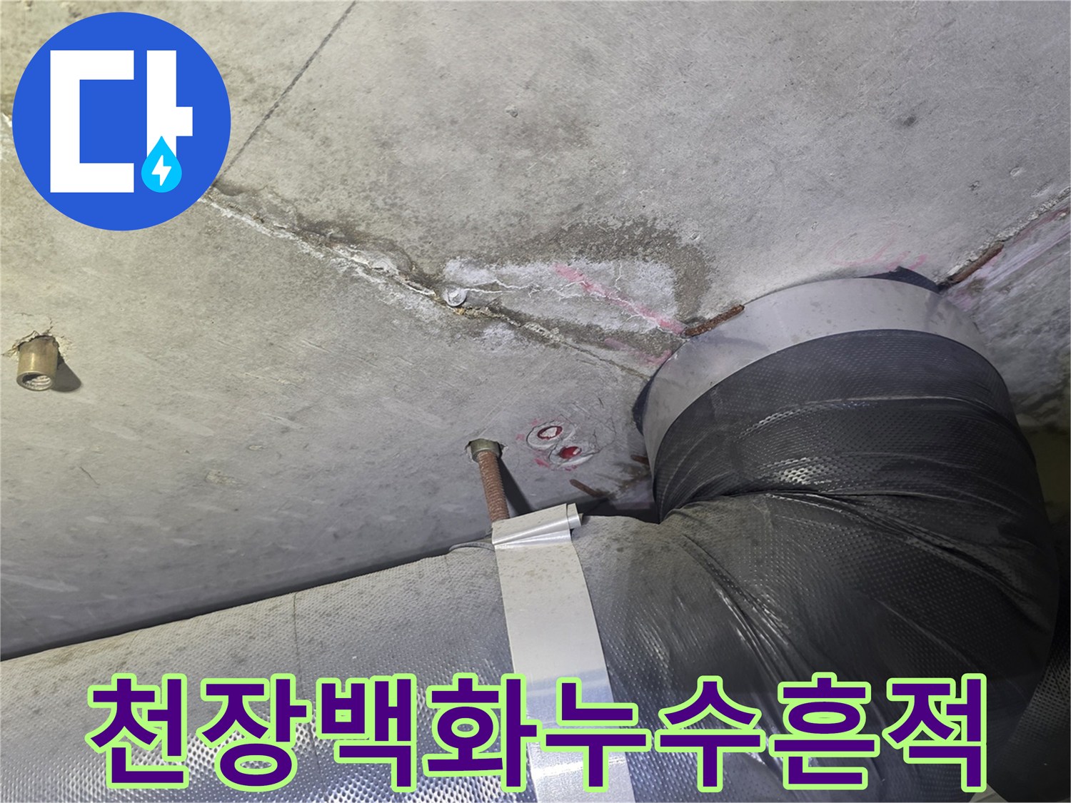 콘크리트 천장에-하얗게 피어난-백화 현상과-오랜 시간-진행된 듯한-누수 자국-그리고 배관 주변의-습기