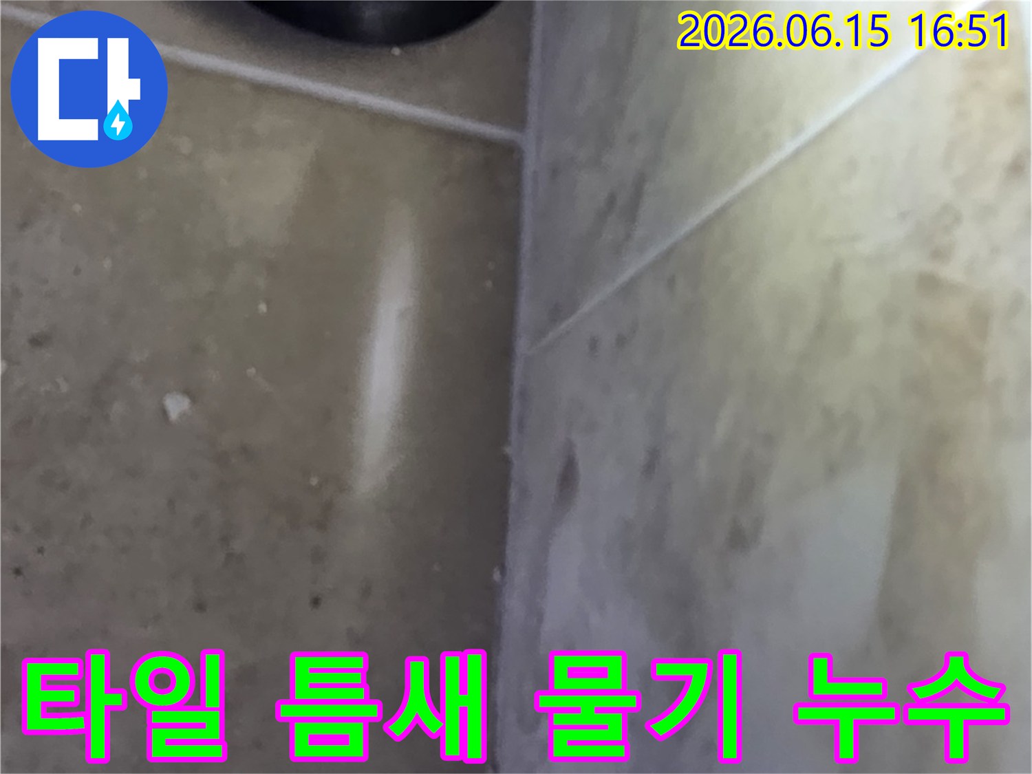 타일 사이 틈새에서 발견된 물기로-누수 발생 지점을 파악하는 현장 사진