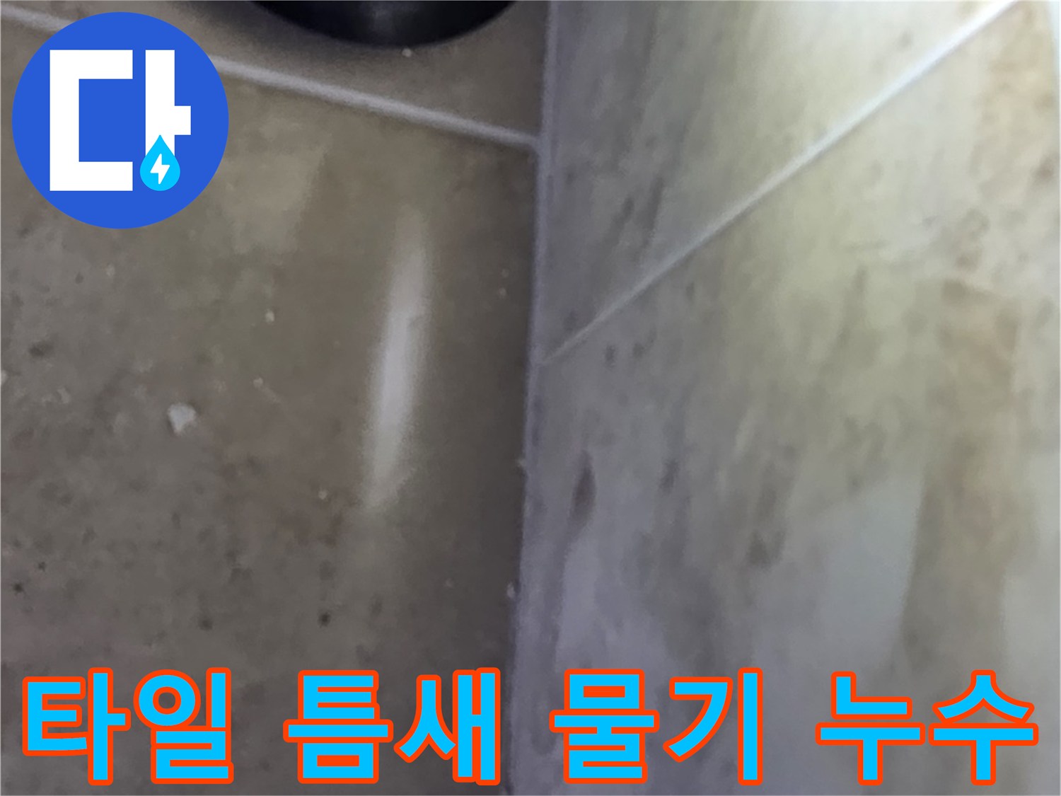 타일 사이 틈새에서 발견된 물기로-누수 발생 지점을 파악하는 현장 사진