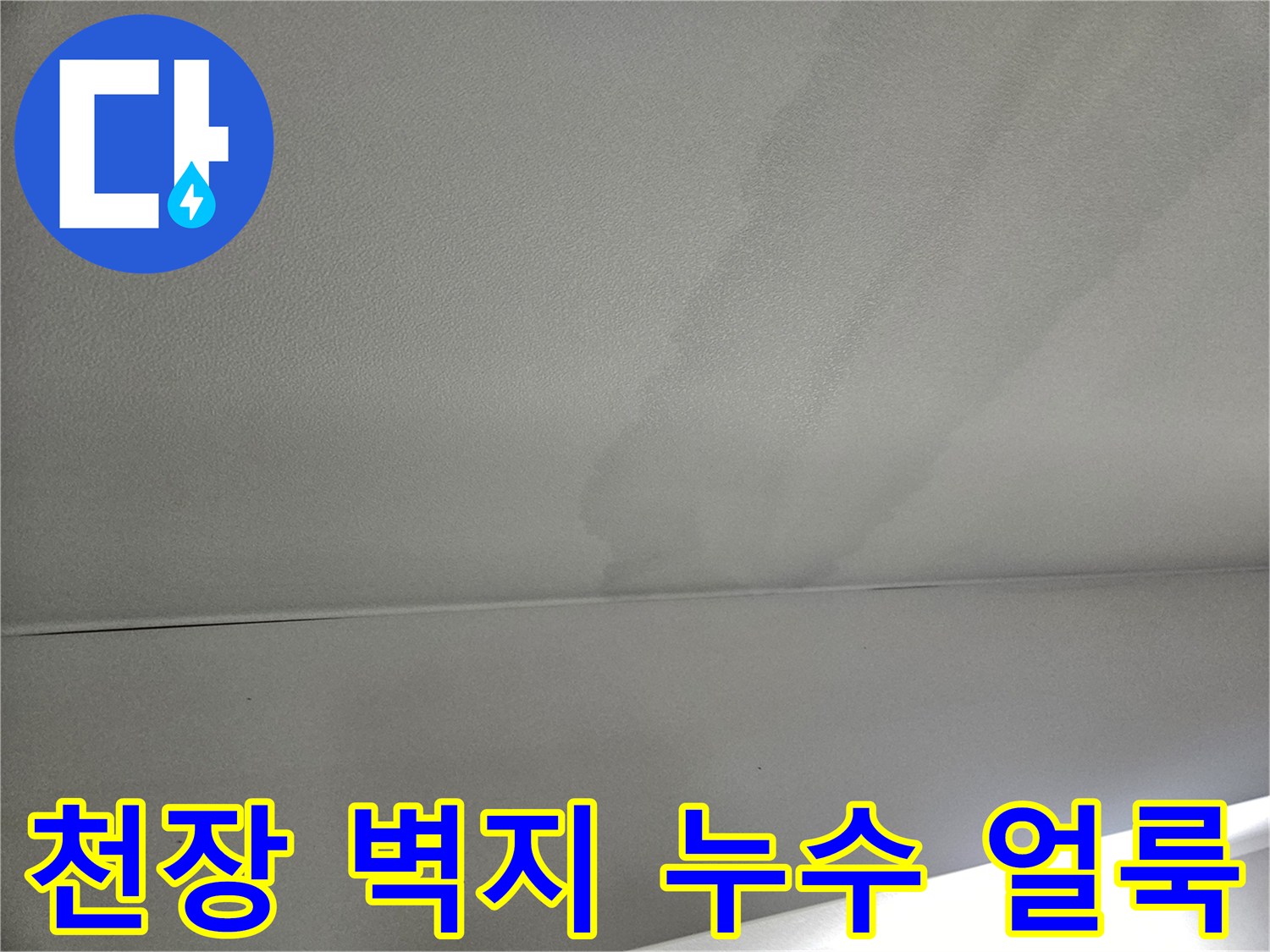 천장 마감재를 따라 넓게 퍼진 누수 흔적과 변색된 부위