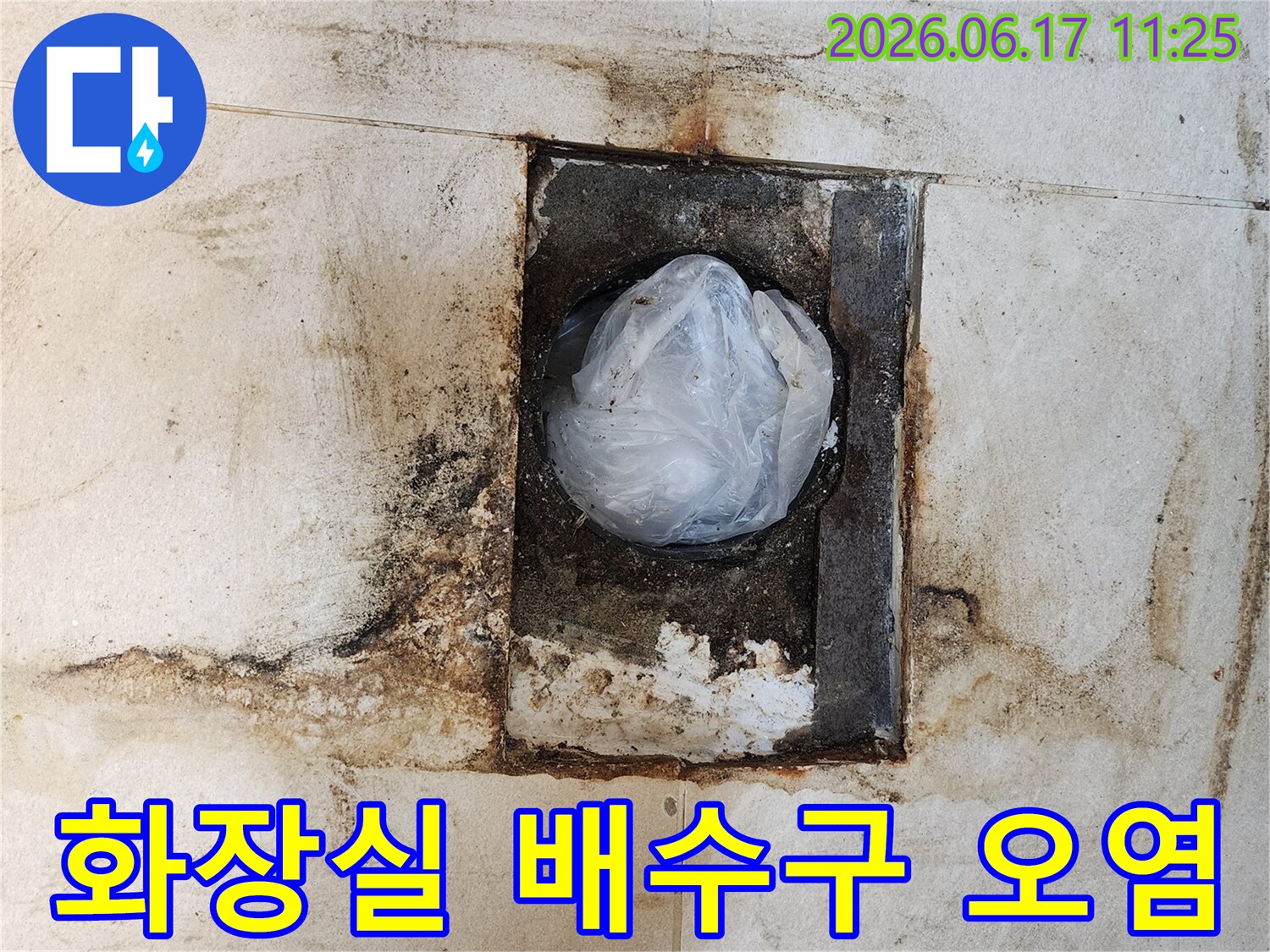 화장실-바닥-배수구-주변에-심각하게-발생한-물때와-곰팡이-오염-현상