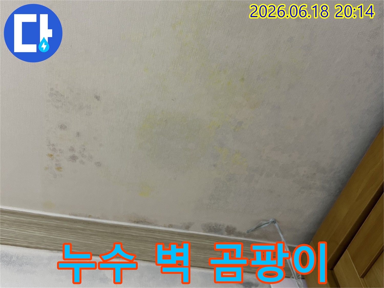 누수로 인해 벽지가 젖고-곰팡이가 심하게 번식한-아파트 내부 벽면
