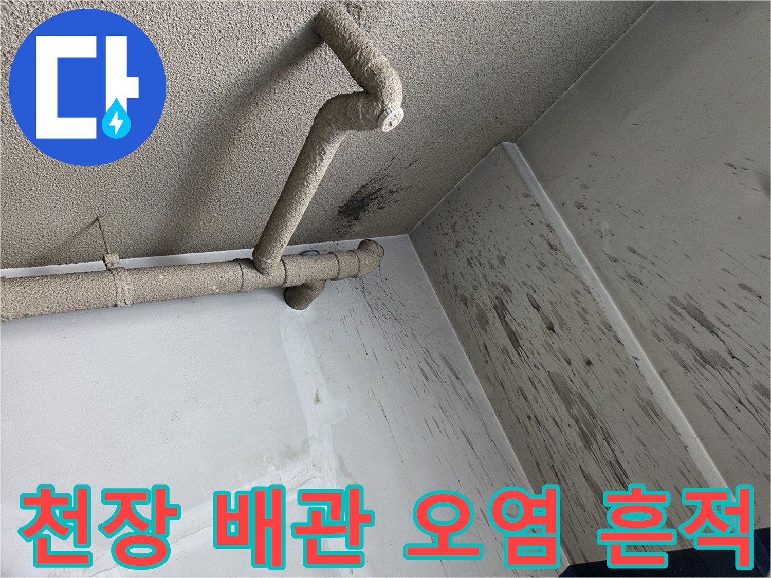 천장 배관과 벽면의 곰팡이 및 물때 자국 사진입니다.