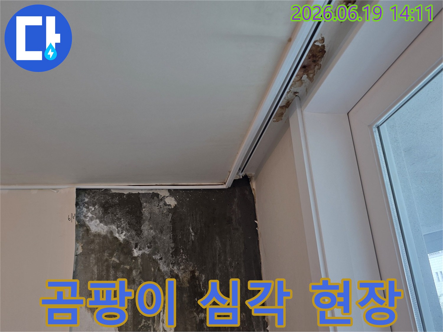 누수로-인해-벽면에-광범위하게-번진-심각한-곰팡이-오염-상태를-보여주는-아파트-내부-현장-사진