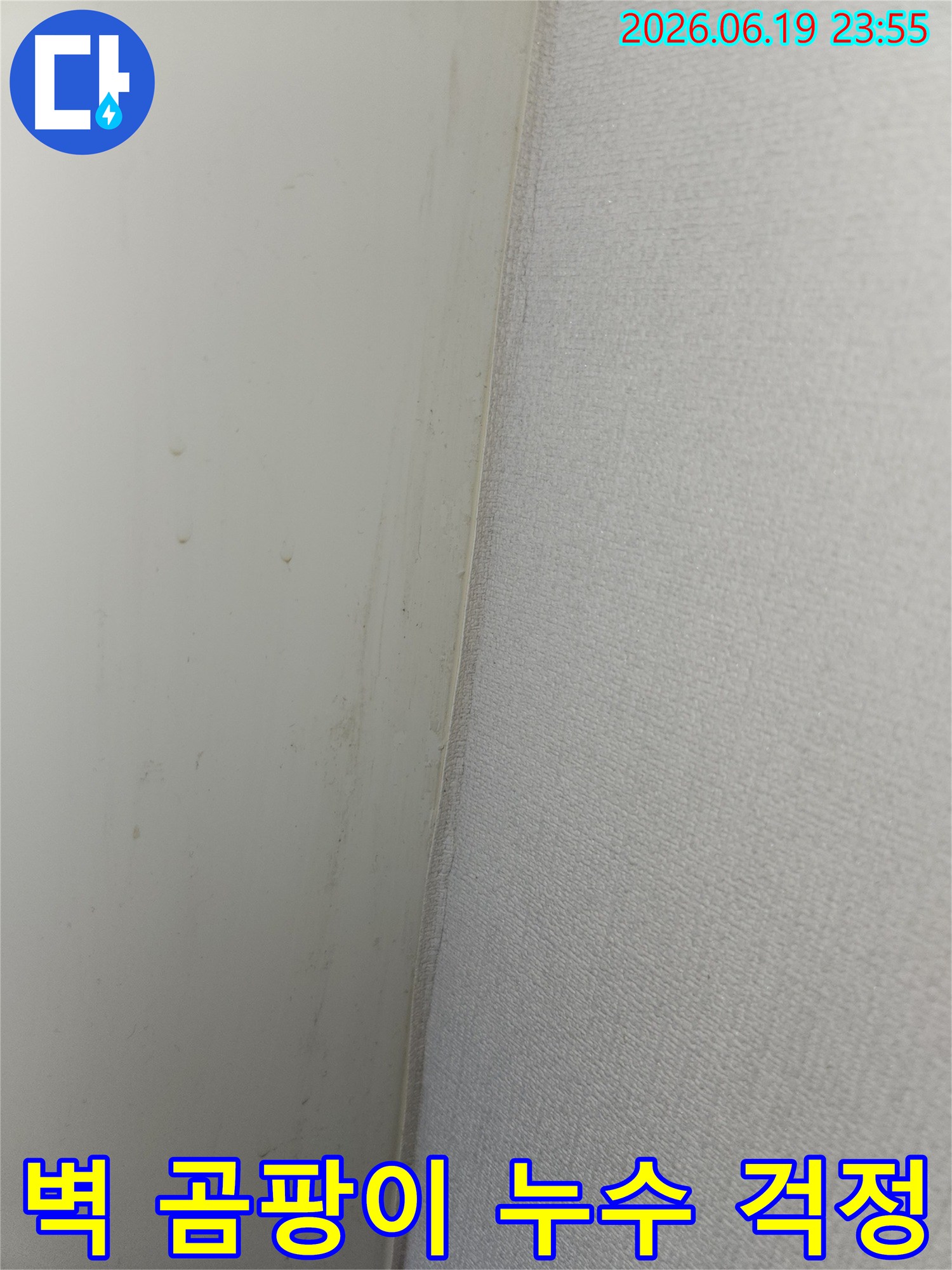 안산 상록구 비발디파크 아파트 벽면에서 발견된 곰팡이와 누수-징후를 해결하여 걱정 없는 환경을 만드는 과정의 사진