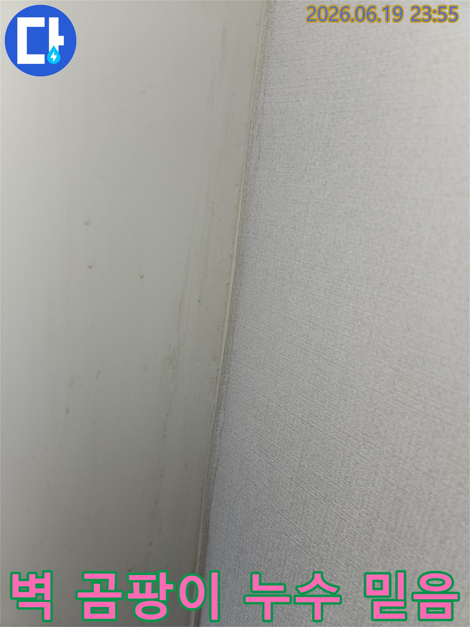 안산 상록구 비발디파크 주택 벽면에서 발견된 곰팡이와 누수-징후를 믿고 맡길 수 있는 전문가가 탐지하는 모습의 사진