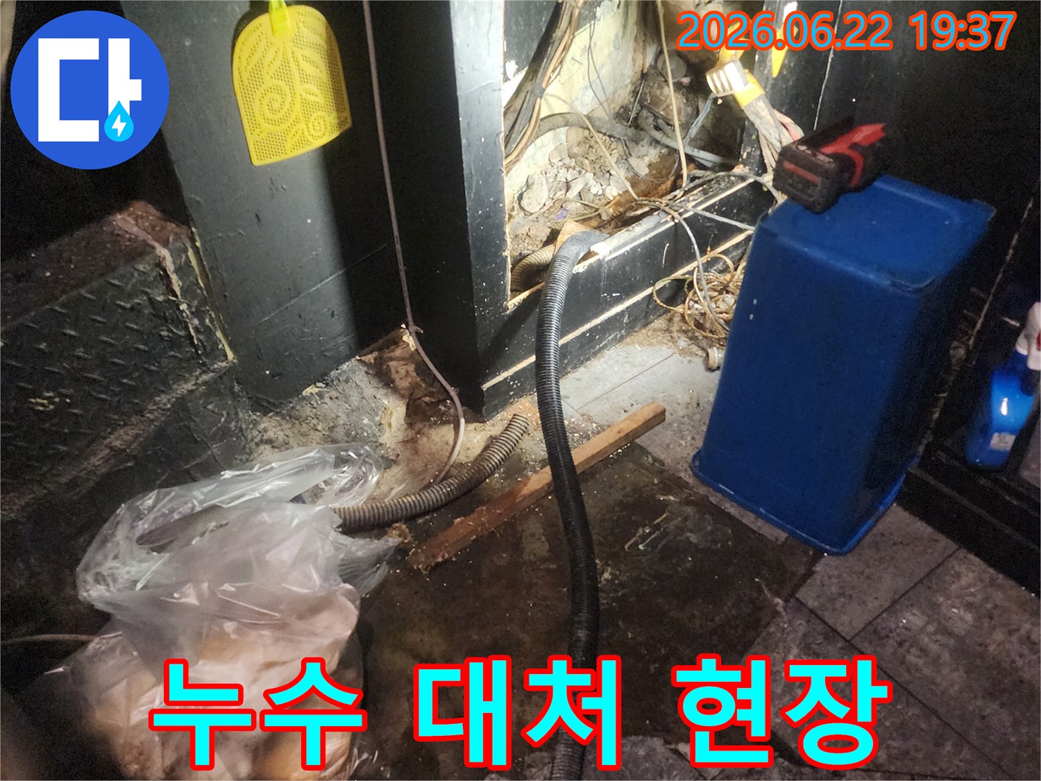 누수-발생-현장에서-전문가가-상황을-파악하고-적절한-대응-방안을-모색하는-모습