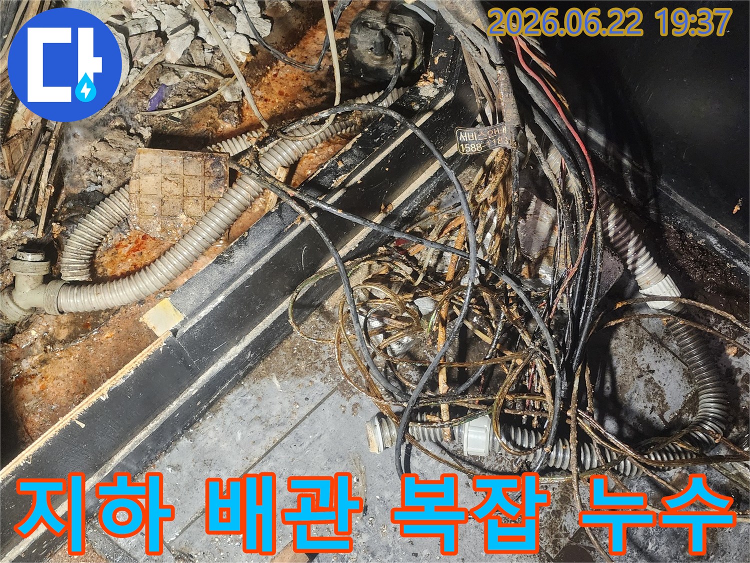 누수-엔지니어가-지하-배관의-복잡한-누수-현장에서-물에-젖고-부식된-배관과-전선들을-정밀하게-조사하고-있습니다