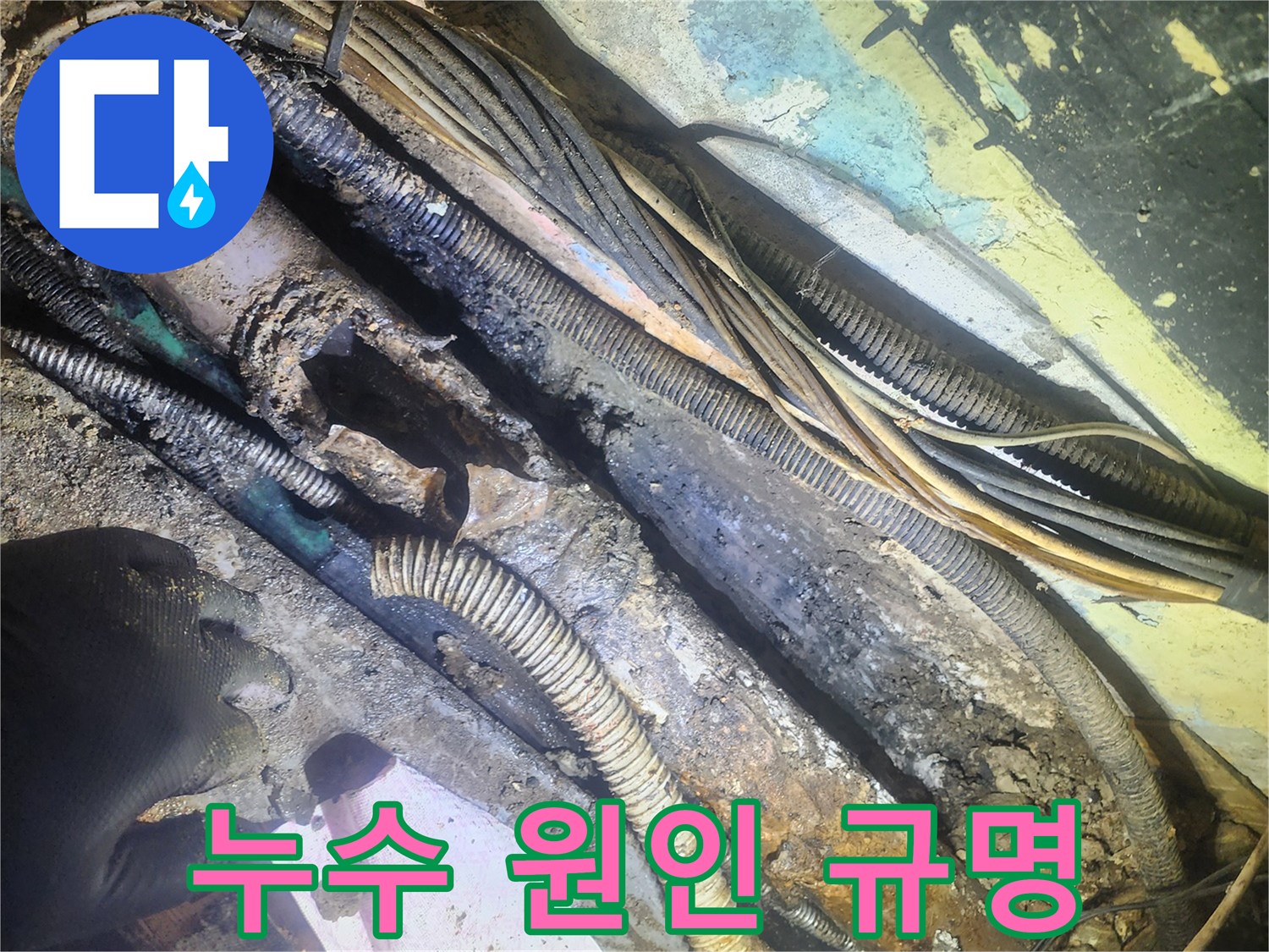 누수-원인-규명을-위해-발굴된-심하게-손상된-배관과-주변-전선들