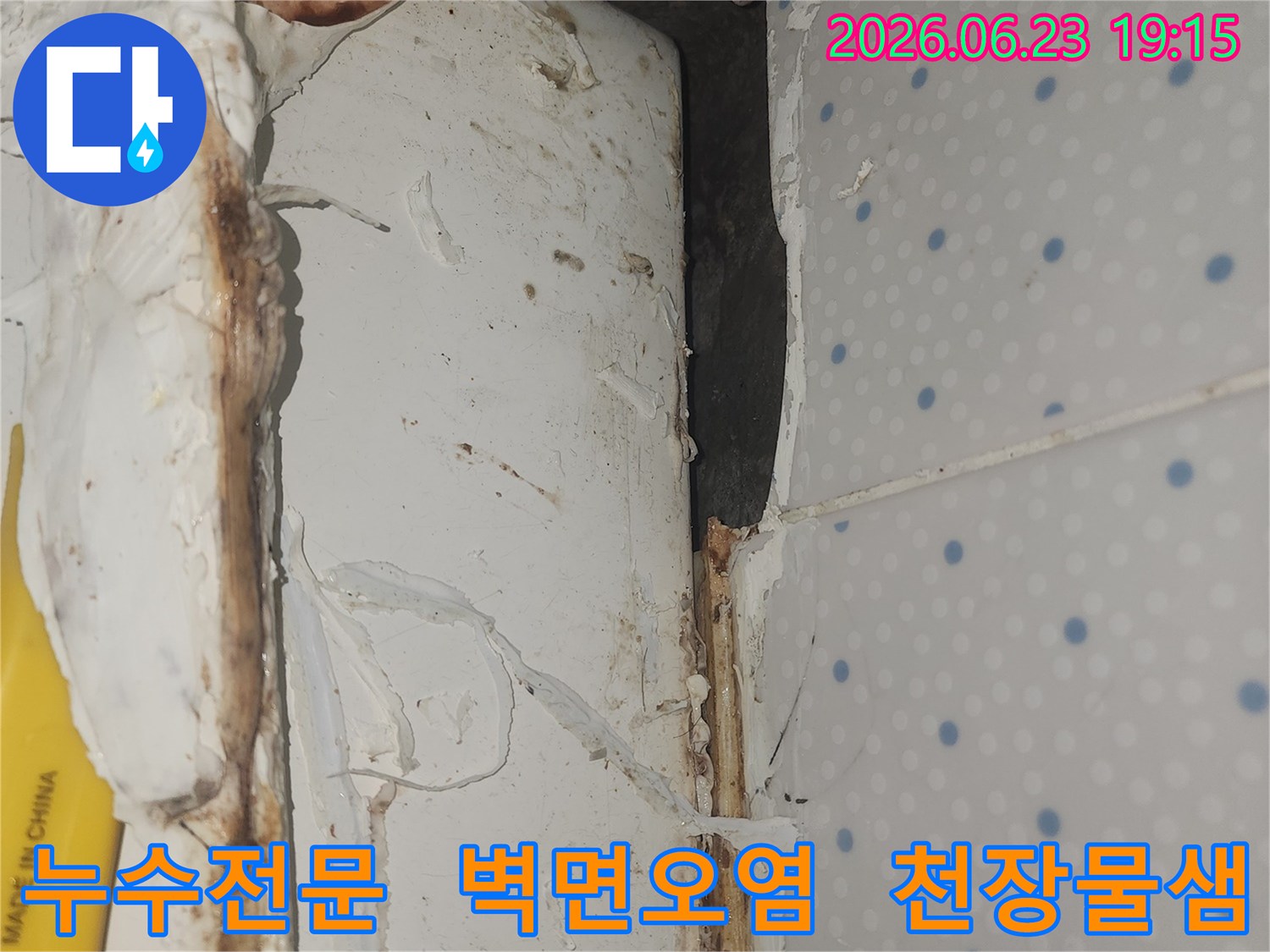 누수로-인해-오염된-천장-모서리-부분의-벽면을-전문적으로-탐지하고-해결해야-하는-현장
