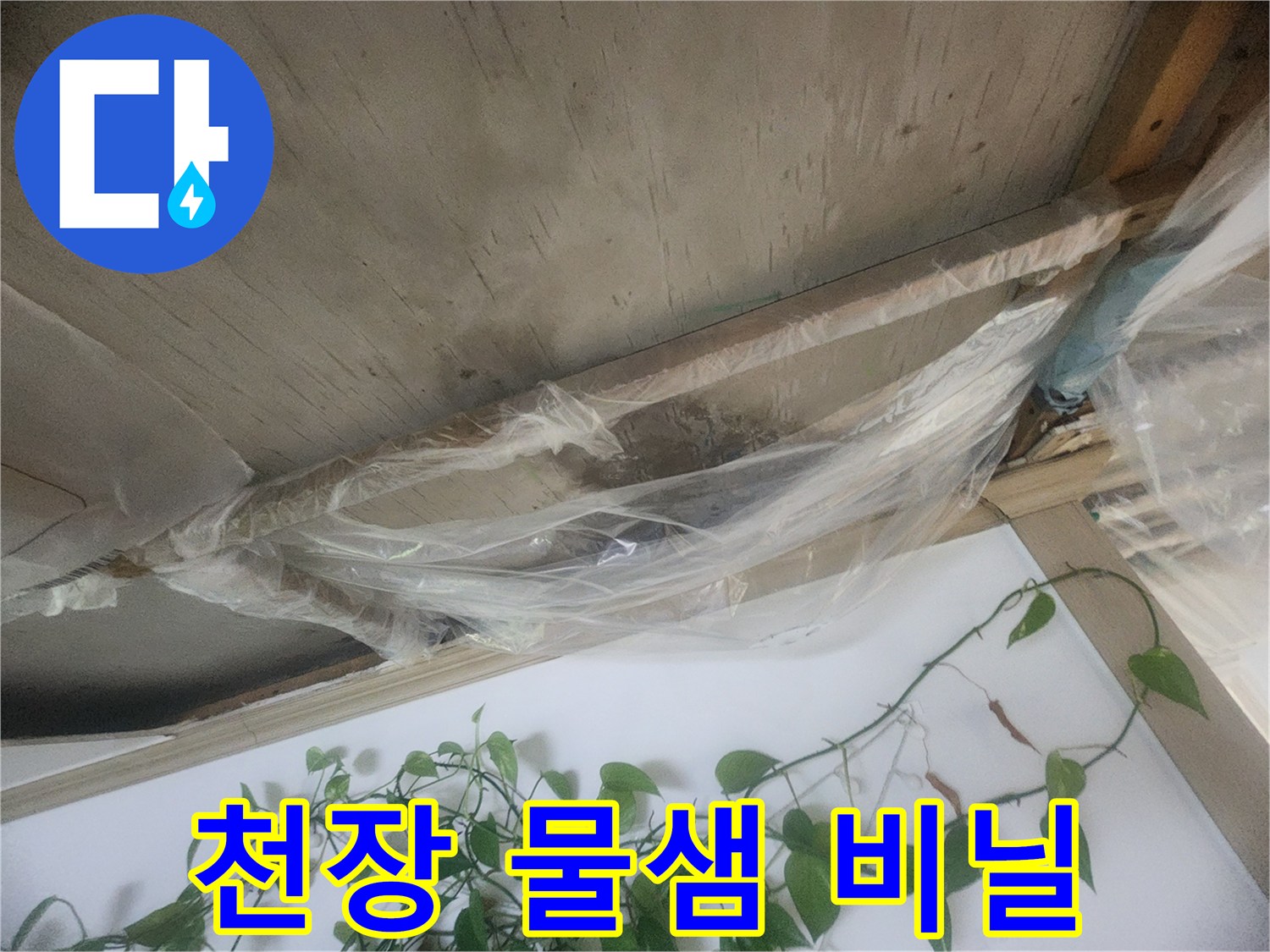 누수로 인해 천장에서 물이 떨어지는 상황을 임시로 막기 위해-비닐로 보양한 모습