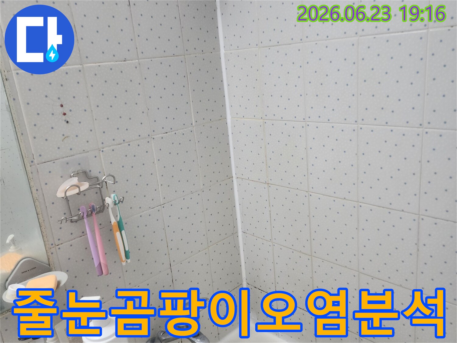 한신아파트-욕실-누수-타일-줄눈-곰팡이-오염-상태-정밀-분석-모습