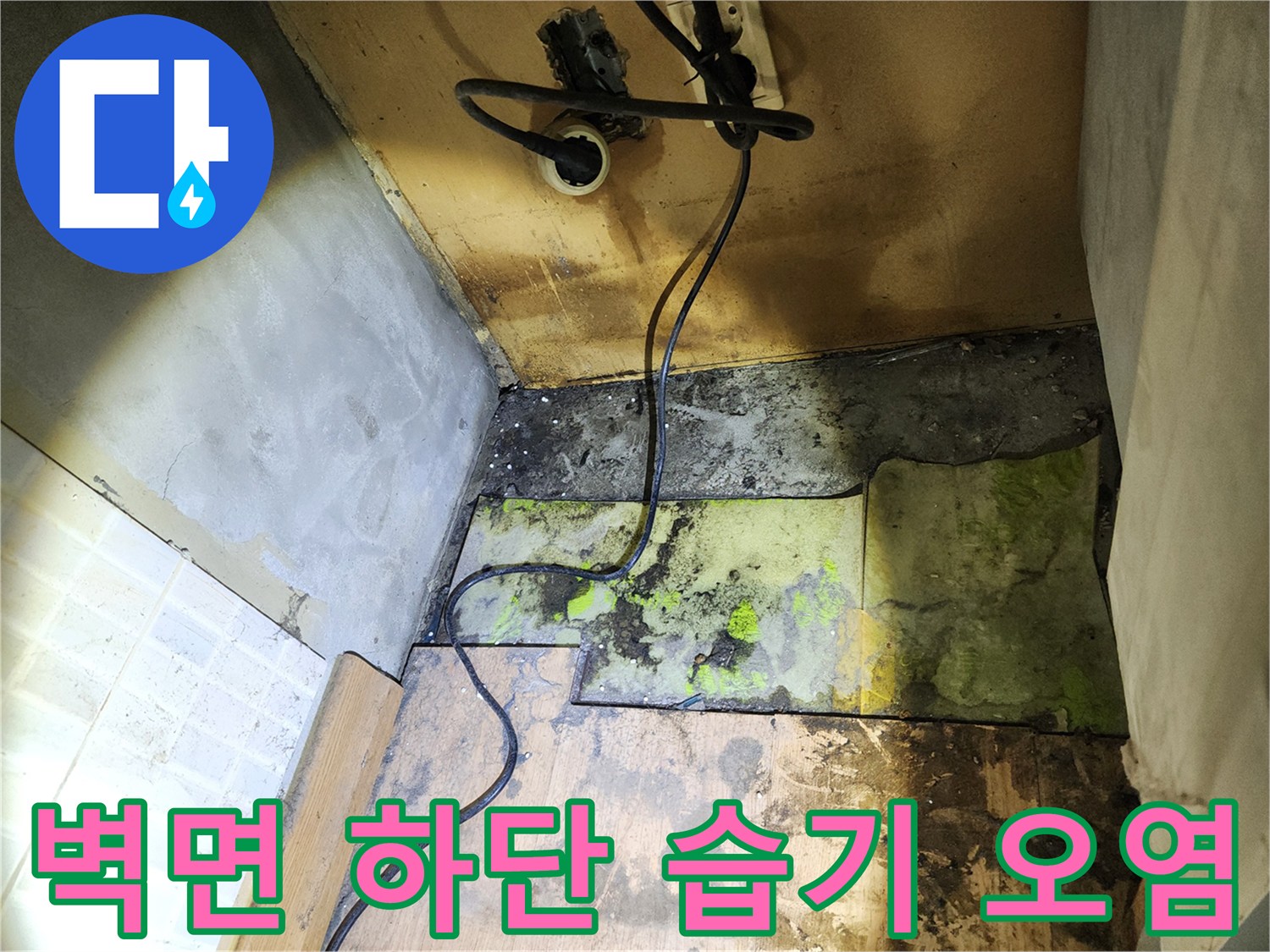 벽면 아래쪽 마감재에 나타난 젖은 흔적과 곰팡이 발생 부위