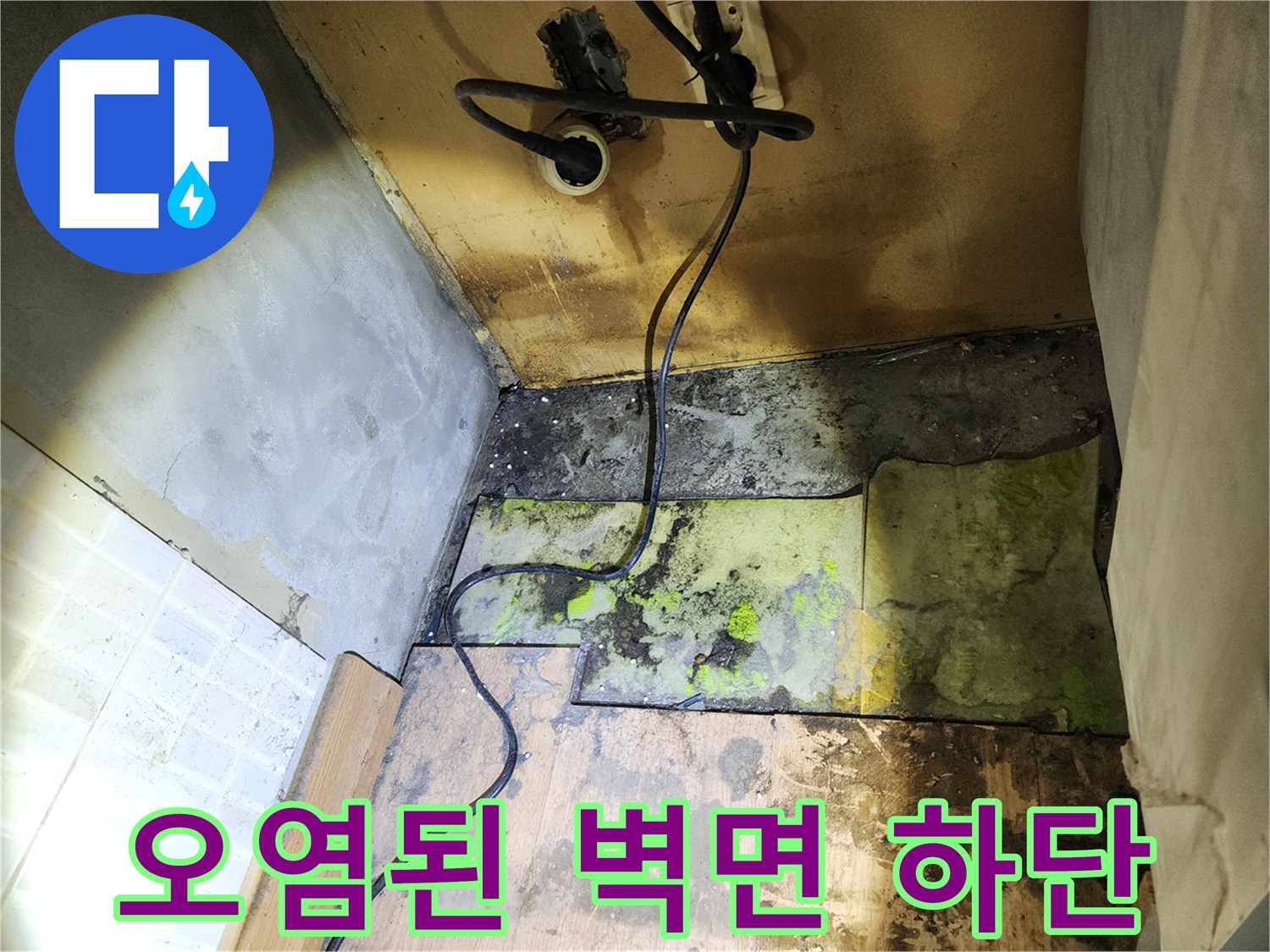 송파구 작업지-콘센트 주변과 벽체 하단의 곰팡이 오염 상태