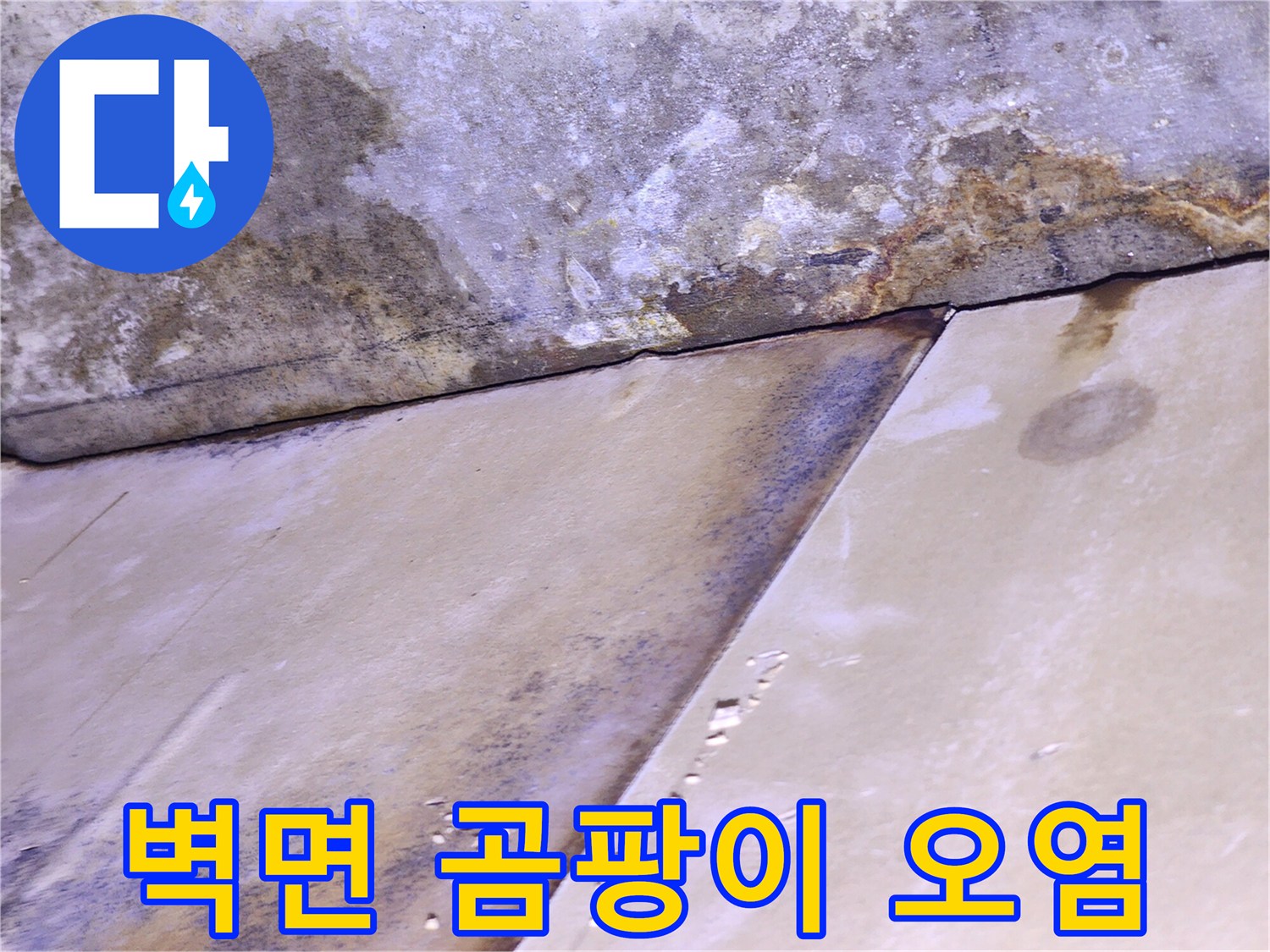 천장 마감재 경계부-습기로 인한 곰팡이와 얼룩 현상
