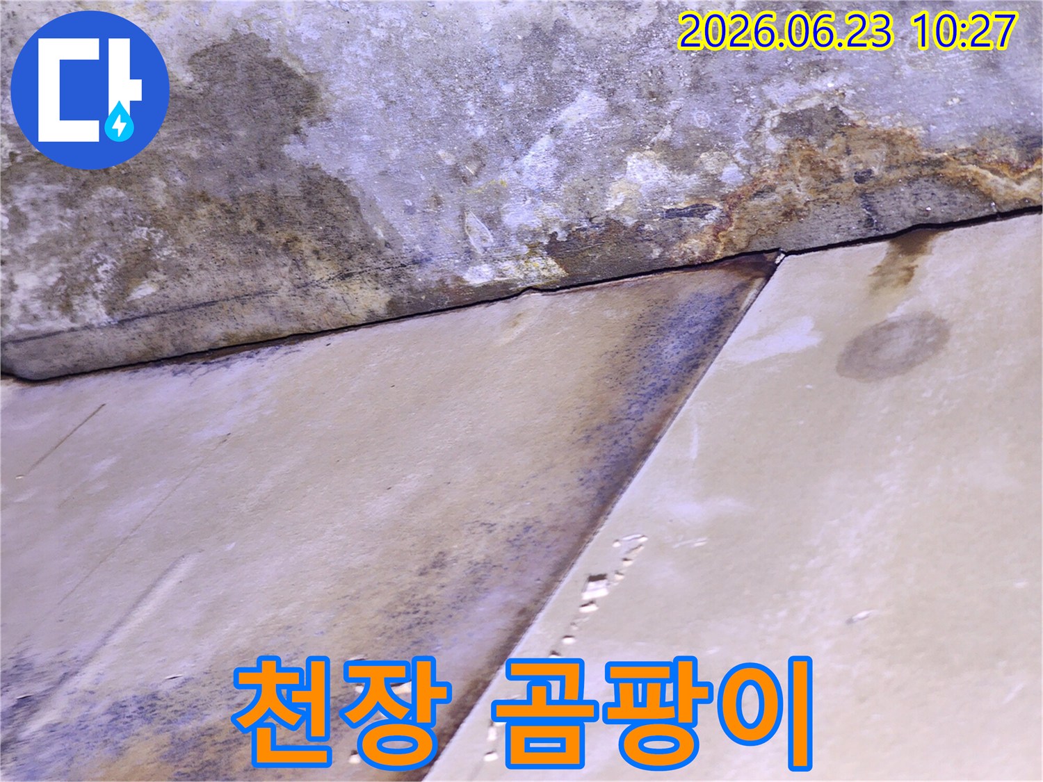 천장 마감재가 물에 젖어 변색되고 곰팡이가 발생한-누수 피해 현장 사진