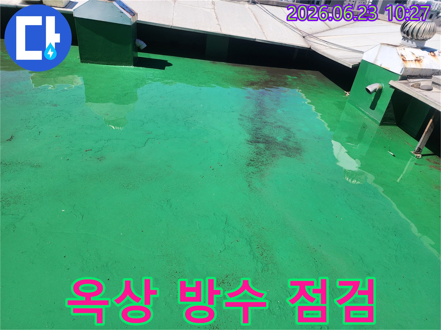 초록색 옥상 표면에-물이 고여있는-누수 전 상황을-보여주는-현장 사진입니다