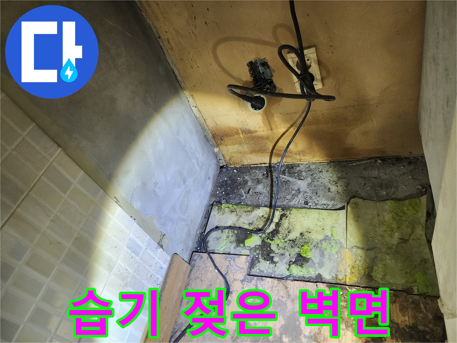 콘센트 아래쪽으로 번진 곰팡이와 젖은 벽체 모습