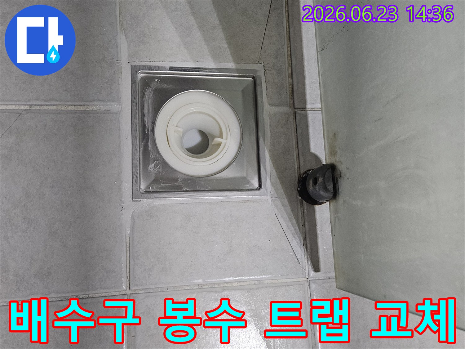 욕실 배수구의-봉수 트랩을-새로운 제품으로-교체하여 냄새와-누수 문제를-동시에 해결하는 작업