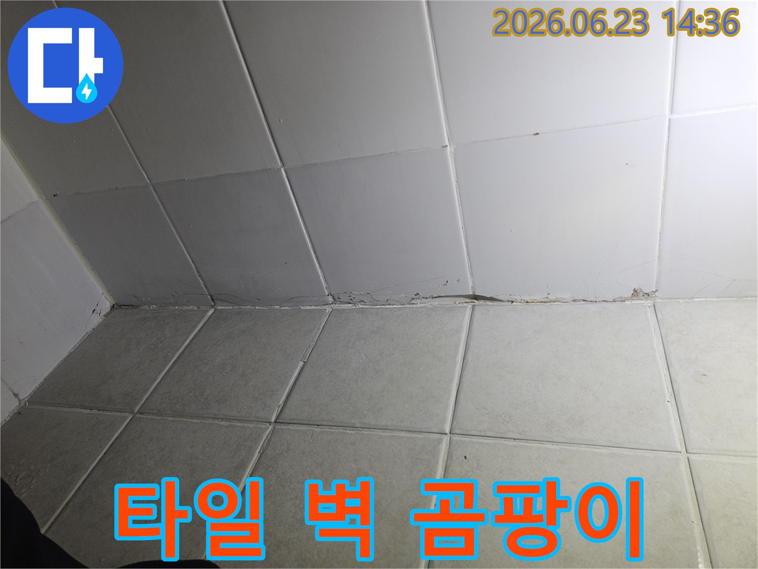 타일-벽과-바닥의-경계선에-발생한-곰팡이와-물때는-누수-문제의-명확한-증거입니다-이는-지속적인-습기-유입으로-인해-발생합니다.