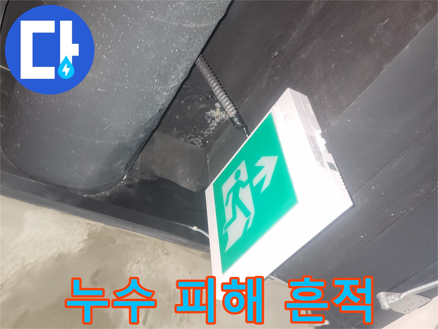 천장 배관에서 물이 새어-주변에 물기가 보입니다-왜-배관의 균열이나-연결 부위의 문제로 추정됩니다-누가-저희 전문 엔지니어가-정밀 탐지 후-신속하게 수리합니다.