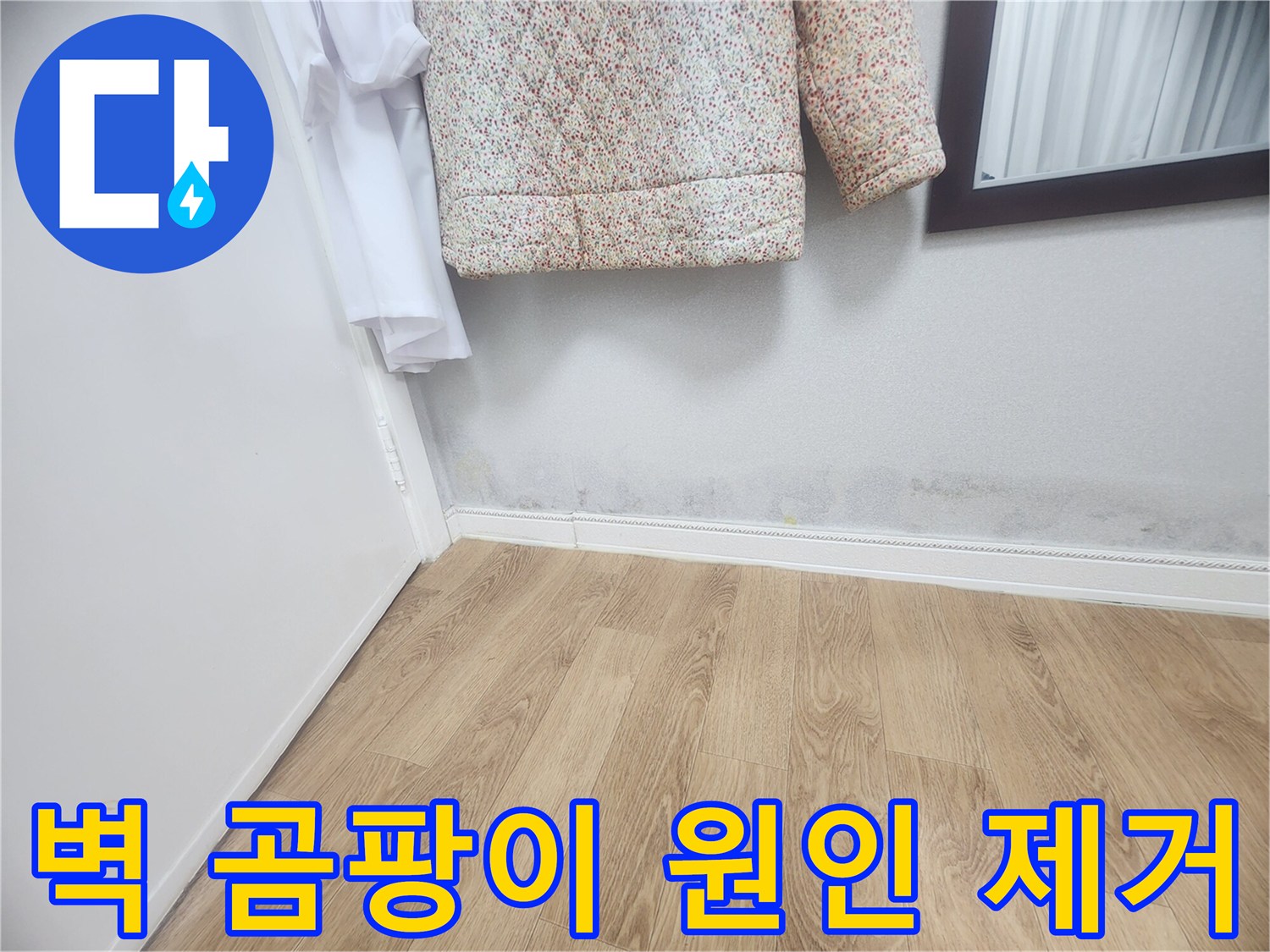 벽 하단에 넓게 퍼진 곰팡이와-습기 자국은-지속적인 누수로 인한-피해임을 보여줍니다-건강과 건물 안전을 위해-즉각적인 조치가 필요합니다.