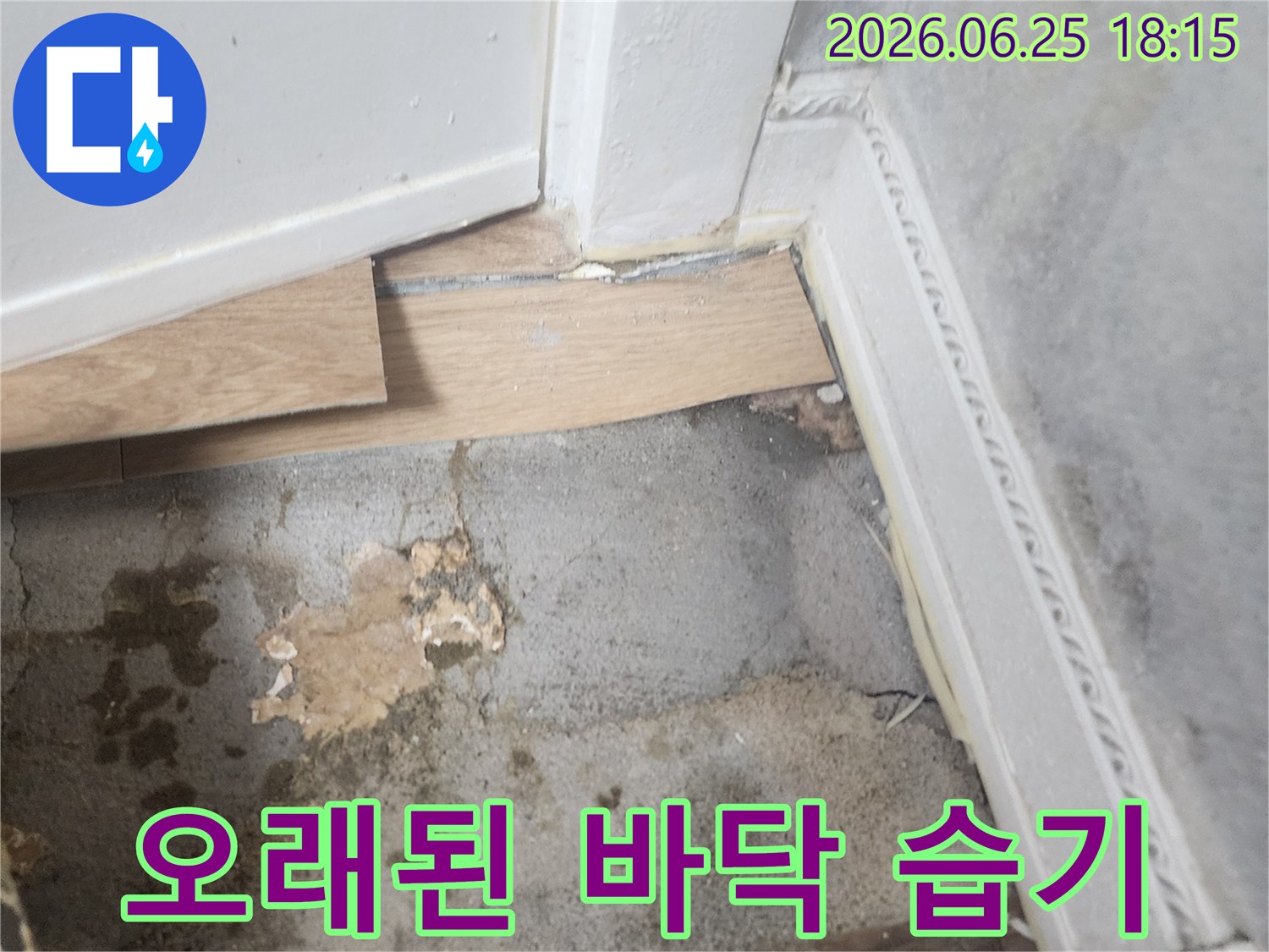 벽과 바닥이 만나는 지점에서-습기로 인해 변색되고-곰팡이가 시작된 듯한-누수 현장 사진입니다.