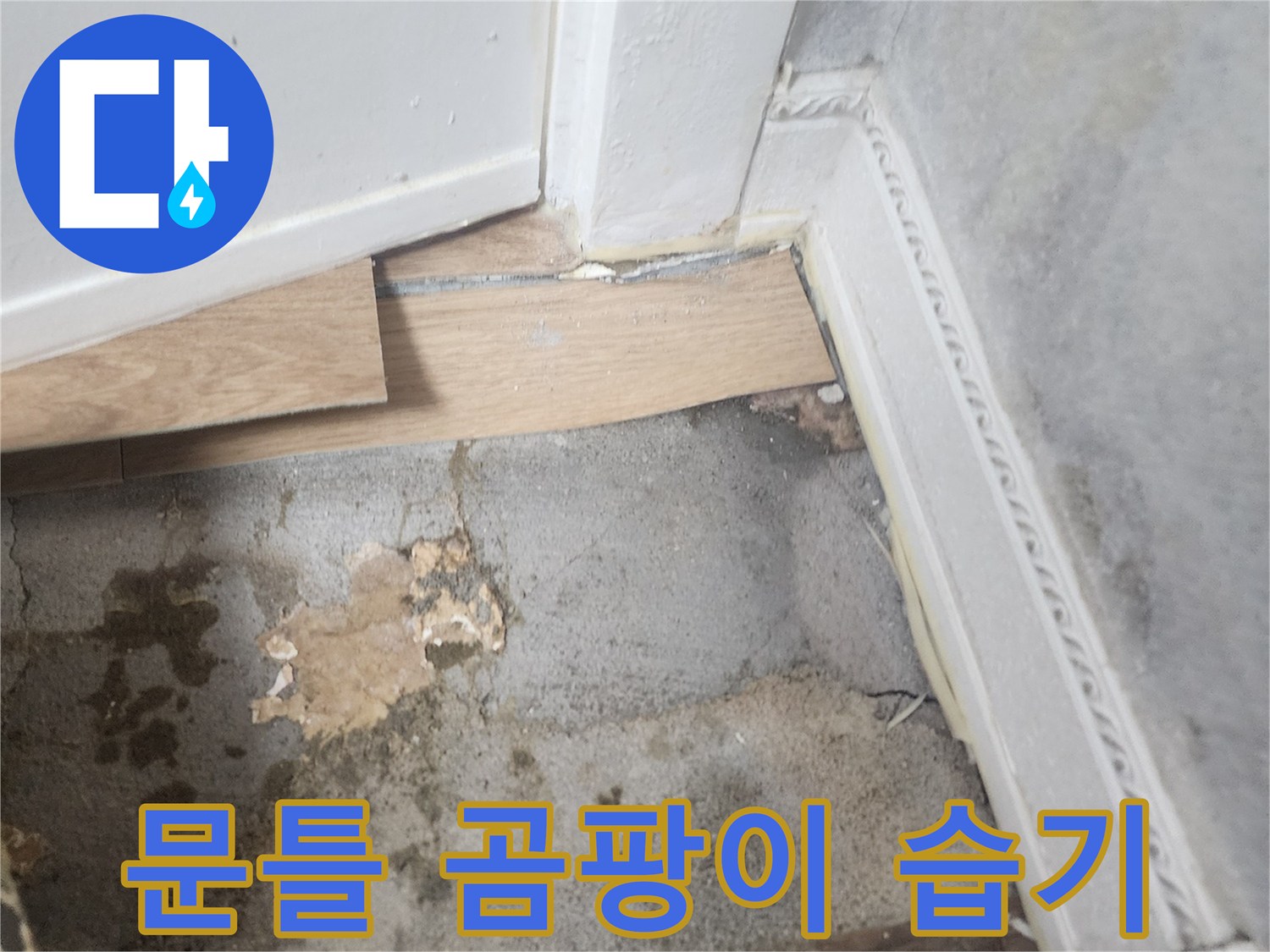 벽과 바닥이 만나는 지점에서-습기로 인해 변색되고-곰팡이가 시작된 듯한-누수 현장 사진입니다.