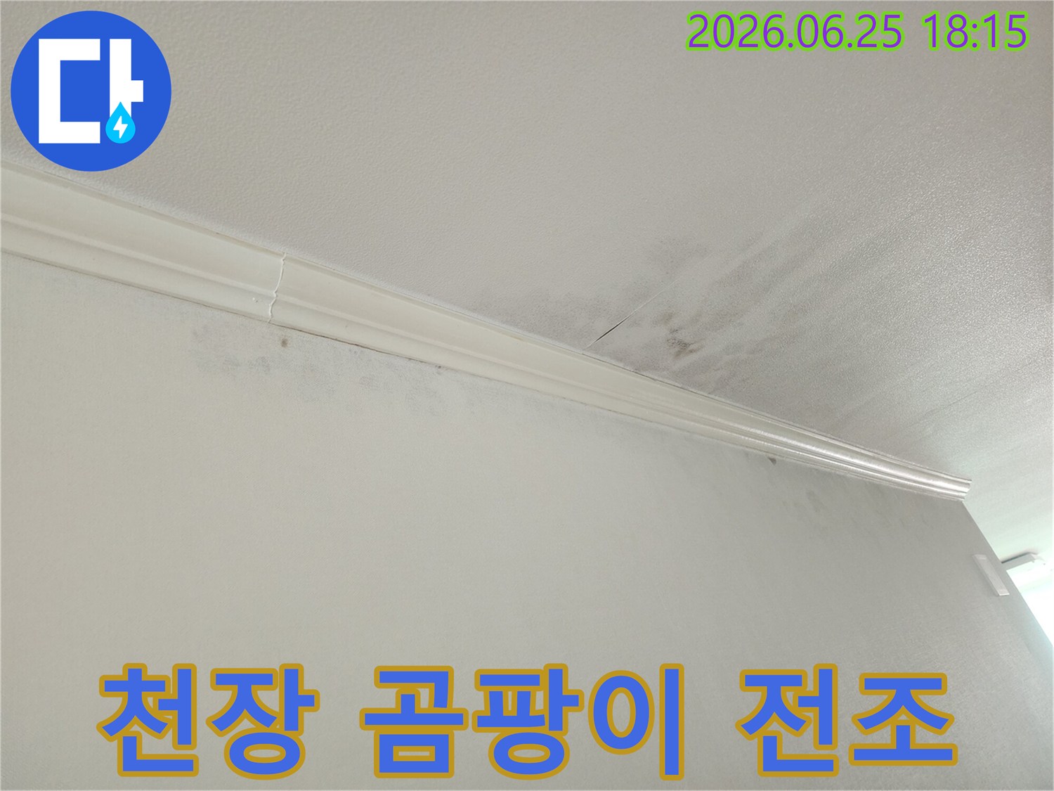 아파트 천장-벽면 접합부-누수로 인한-습기 흔적-곰팡이 발생-우려 지점