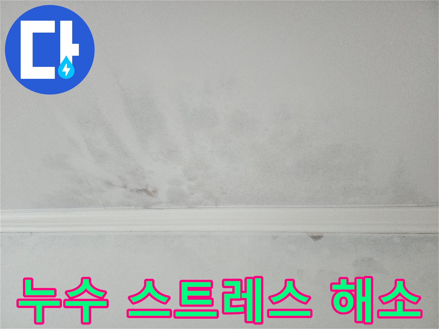 천장 누수로 인한 스트레스와 불편함-전문가의 도움으로 해결하세요