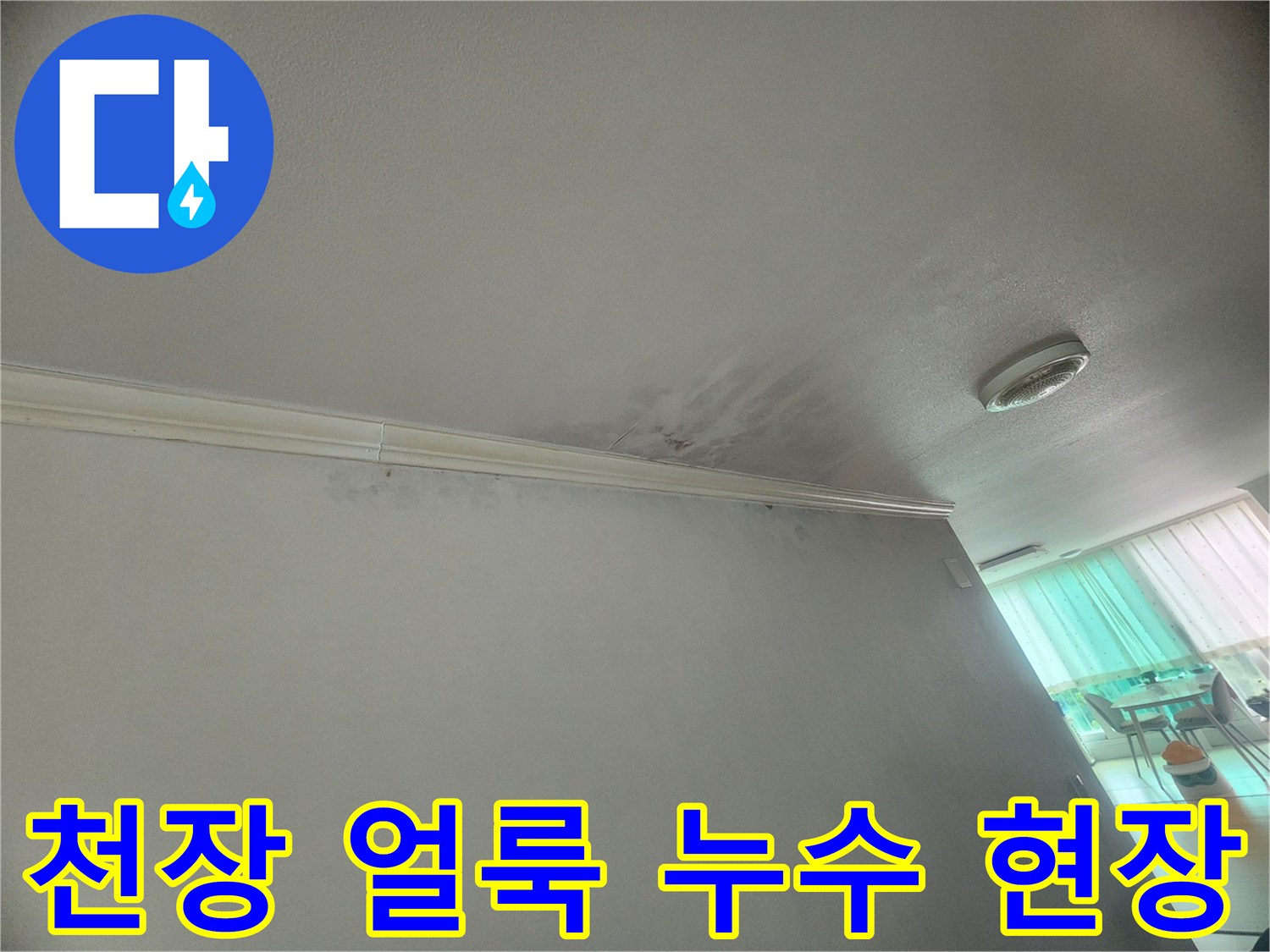 천장-모서리에-발생한-누수-얼룩은-물이-새고-있음을-명확히-보여줍니다