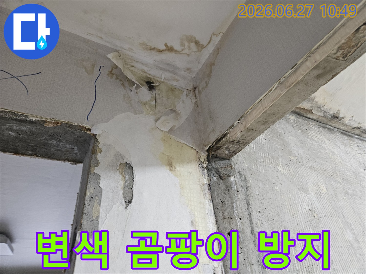 누수로-인해-벽지가-변색되고-곰팡이가-발생한-벽면-모서리-재발-방지-처리가-필요한-현장