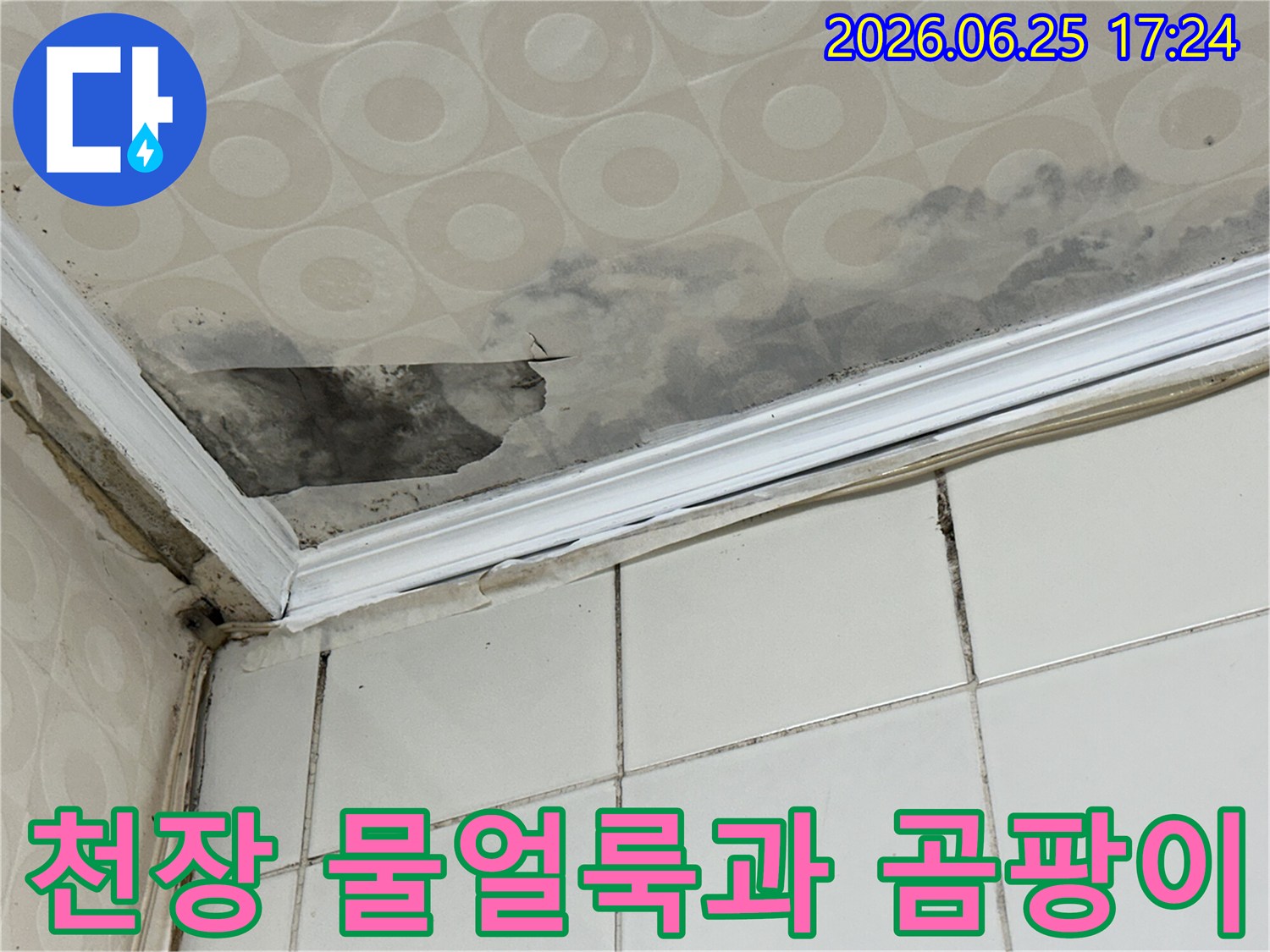 물기로-인해-천장-타일-혹은-벽지가-손상되고-검은-곰팡이가-생긴-사진