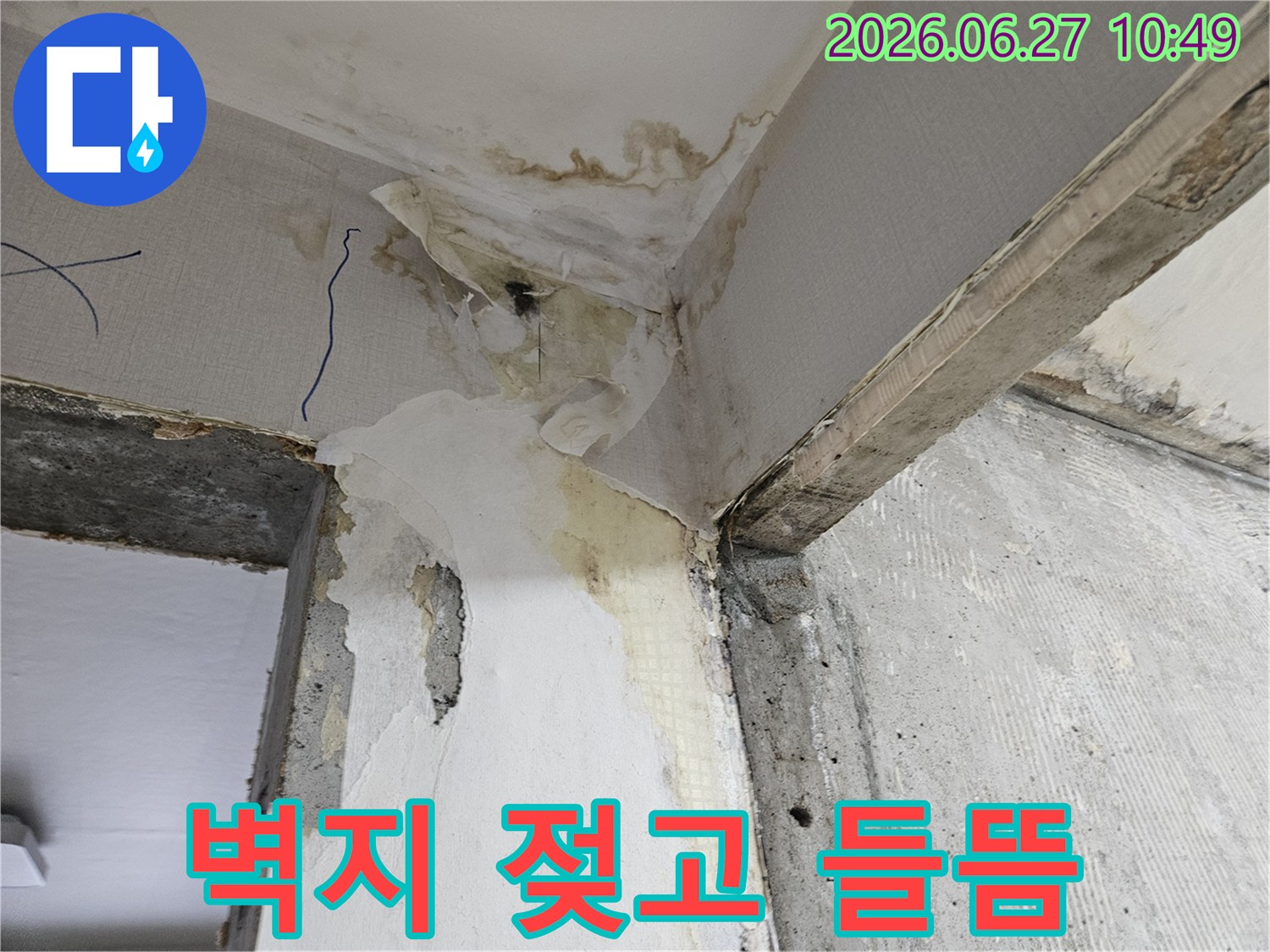 벽면-모서리에서-발견된-벽지-손상과-물에-젖어-들뜬-모습-그리고-변색된-누수-흔적
