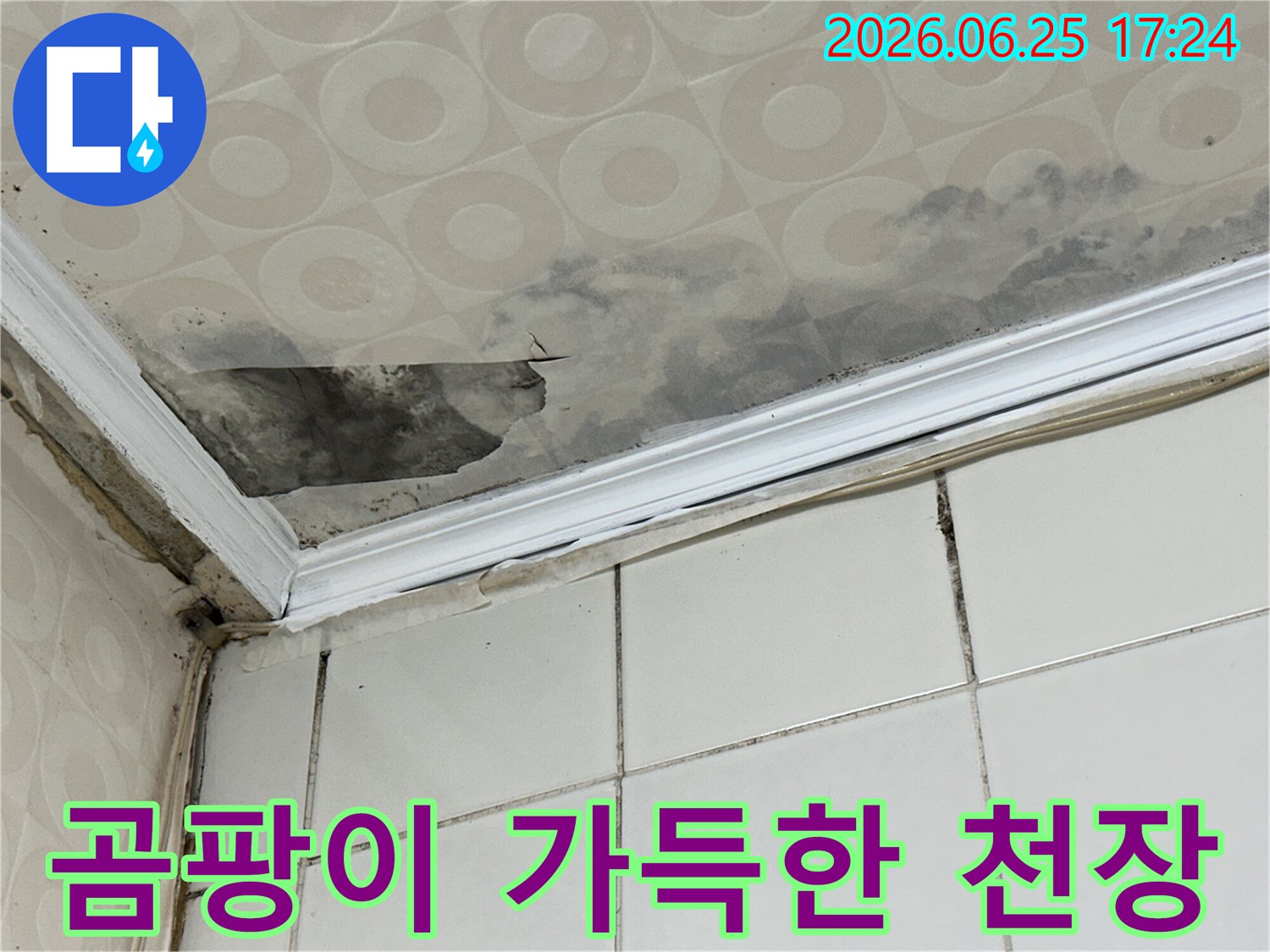 아파트-내부-천장에-발생한-누수-피해와-곰팡이-오염을-누수-탐지-전문가가-현장에서-직접-확인하고-있습니다