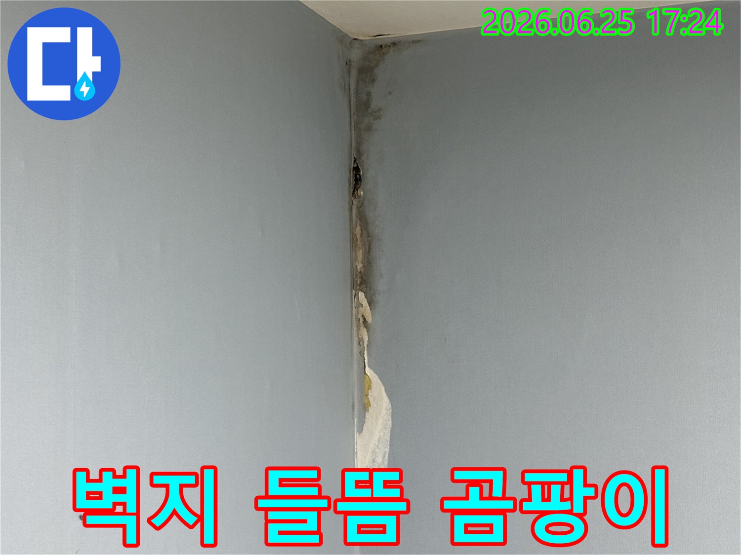 아파트-벽면-코너에서-발생한-누수로-인해-벽지가-젖어-들뜨고-심한-곰팡이가-피어난-손상-상태를-보여주는-사진입니다
