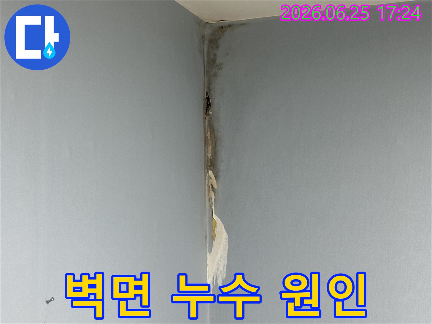 아파트-벽면-코너에서-발생한-누수로-인해-벽지가-젖어-들뜨고-심한-곰팡이가-피어난-손상-상태를-보여주는-사진입니다