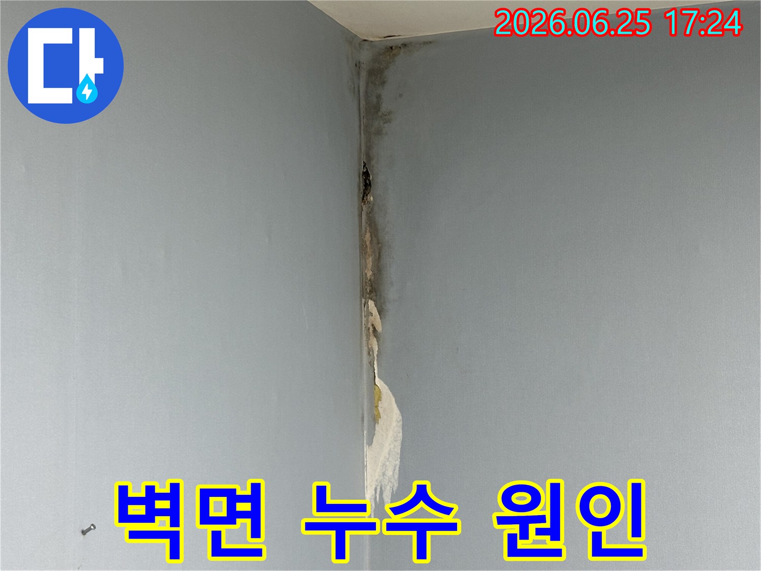 아파트-벽면-코너에서-발생한-누수로-인해-벽지가-젖어-들뜨고-심한-곰팡이가-피어난-손상-상태를-보여주는-사진입니다