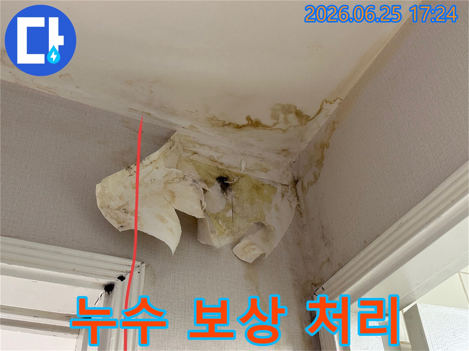천장과 벽면의 물 얼룩-벽지 들뜸-그리고 곰팡이가 누수 피해의 심각성을 나타냅니다.