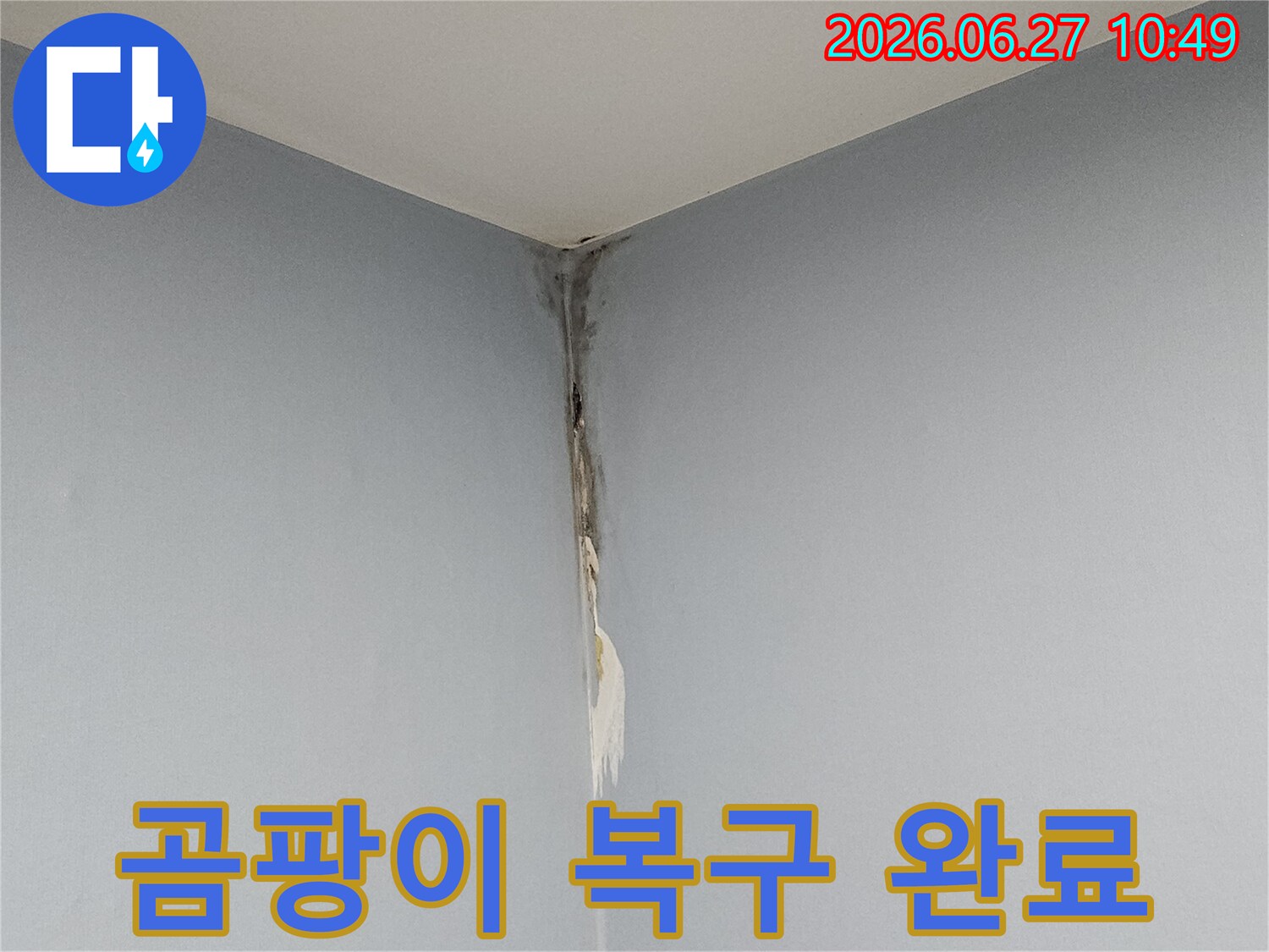 천장과 벽의 모서리 부분에 누수로 인한 곰팡이가 심하게 번져있고-벽지가 손상된 모습으로-전문적인 곰팡이 제거와 복구 작업이 필요한 현장입니다.